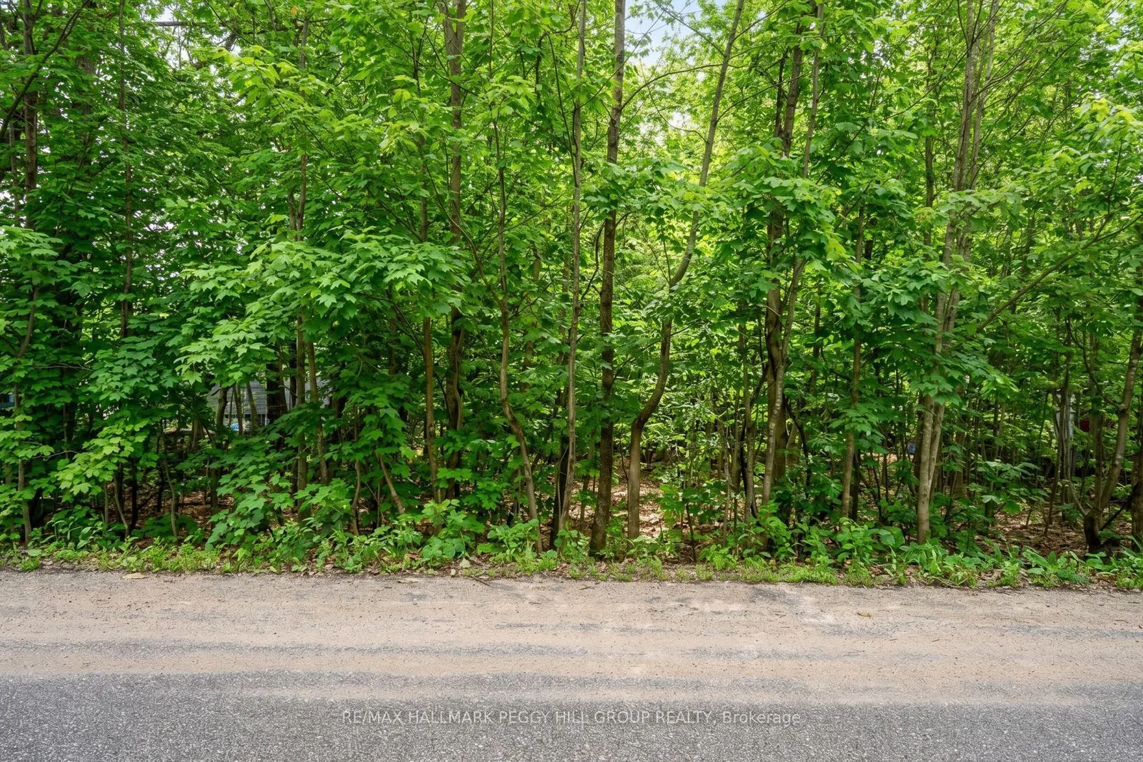 17 Valleyview Drive