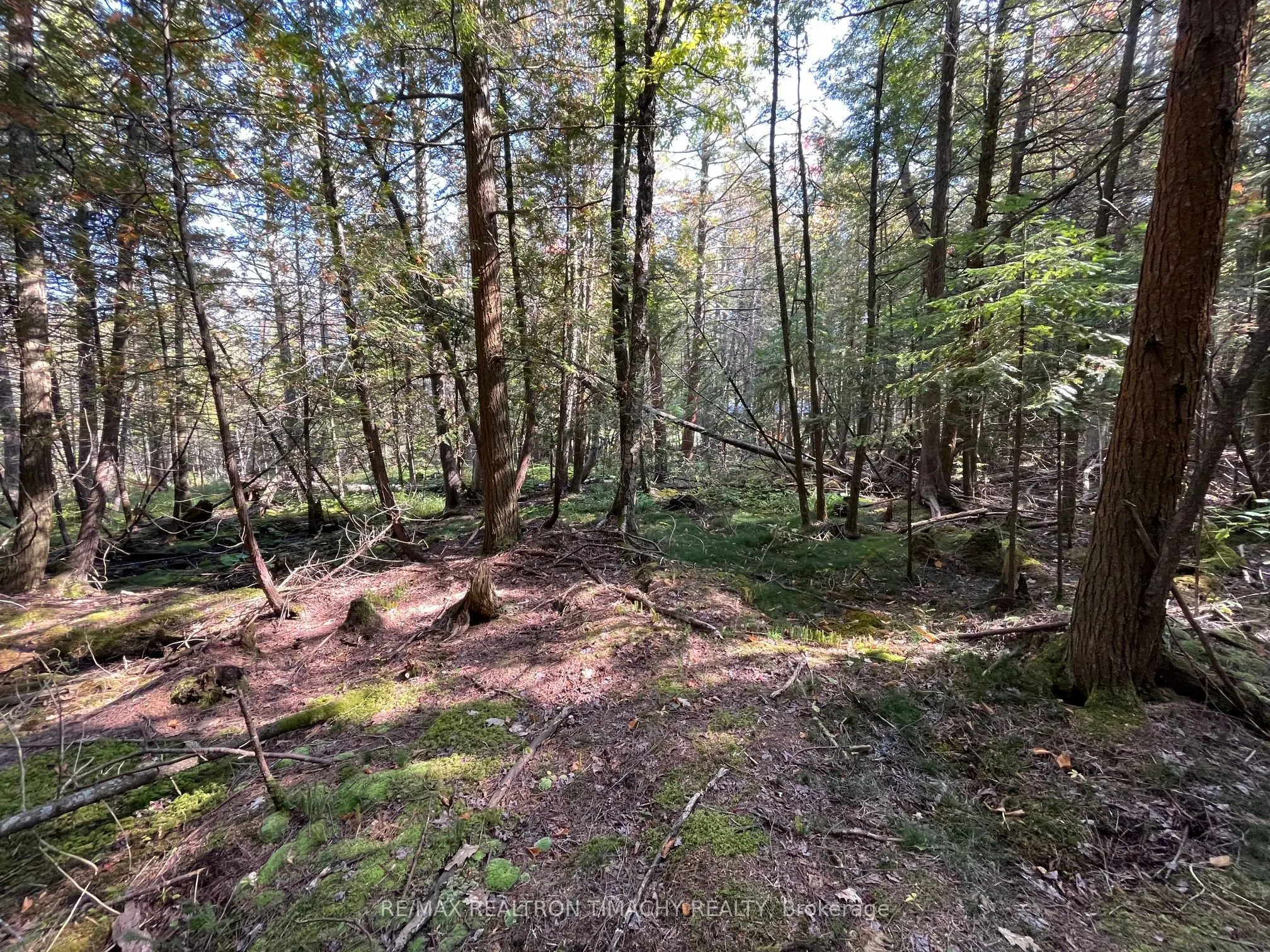 Lot 25 Champlain Road