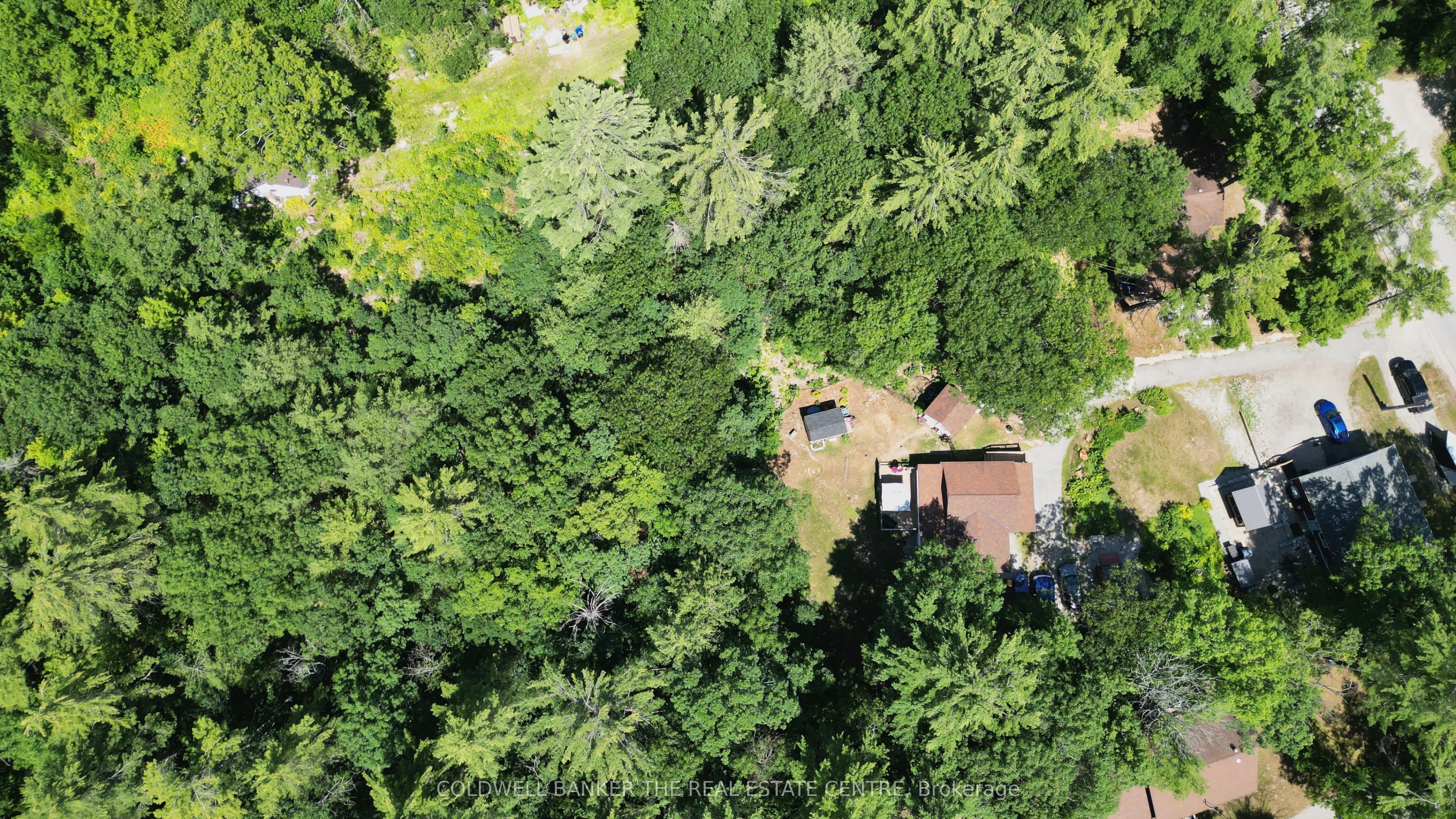 5594 Upper Big Chute Road