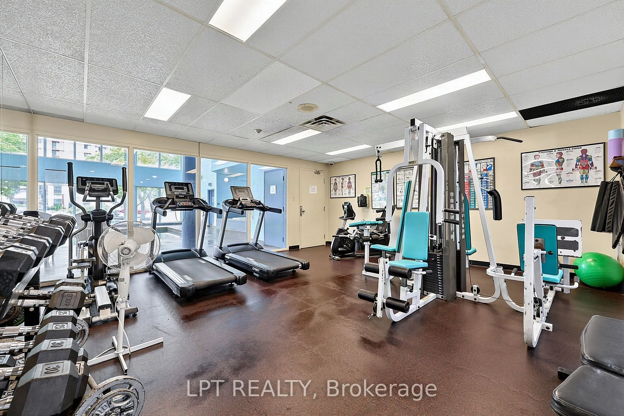 75 Ellen Street #1111