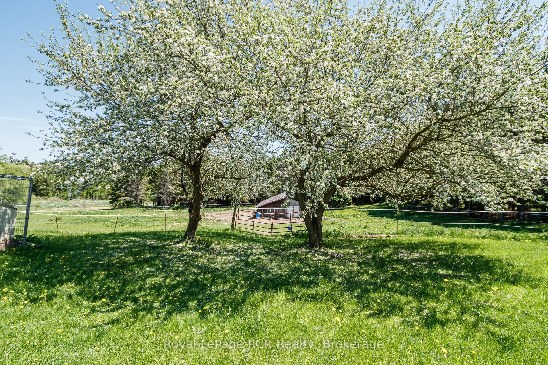 2553 County Road 42
