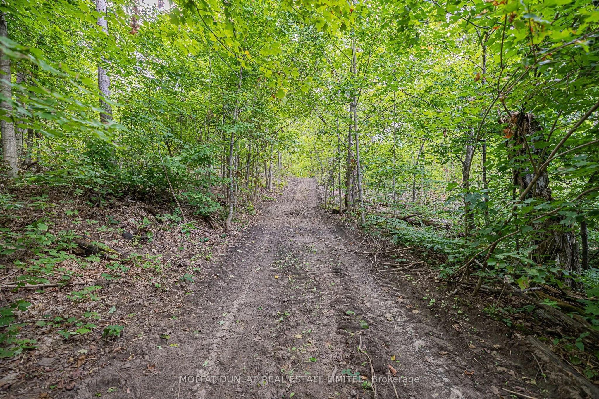305 Bass Lake Side Road