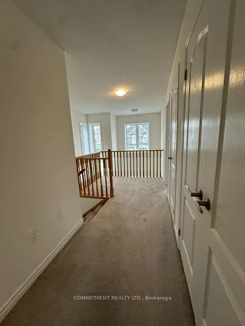 14 Shapira Avenue