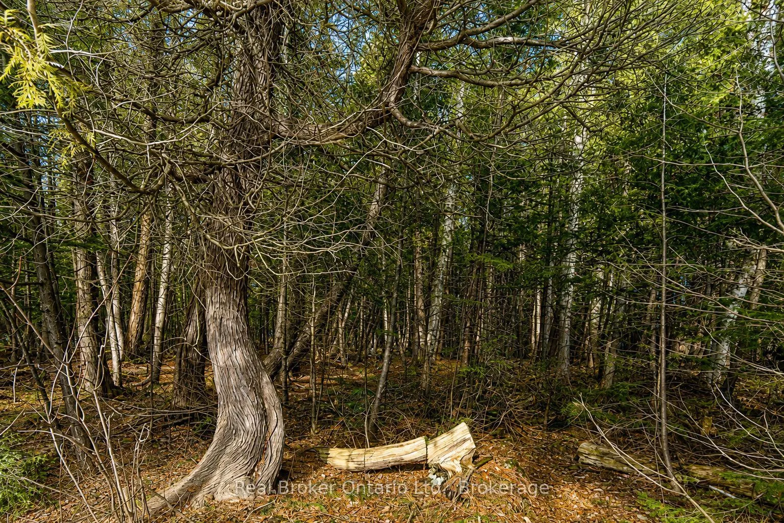 LOT 116 IROQUOIS Crescent