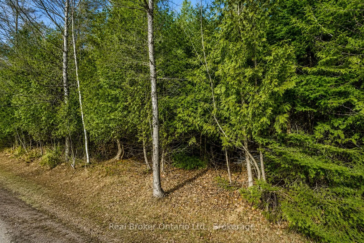 LOT 116 IROQUOIS Crescent
