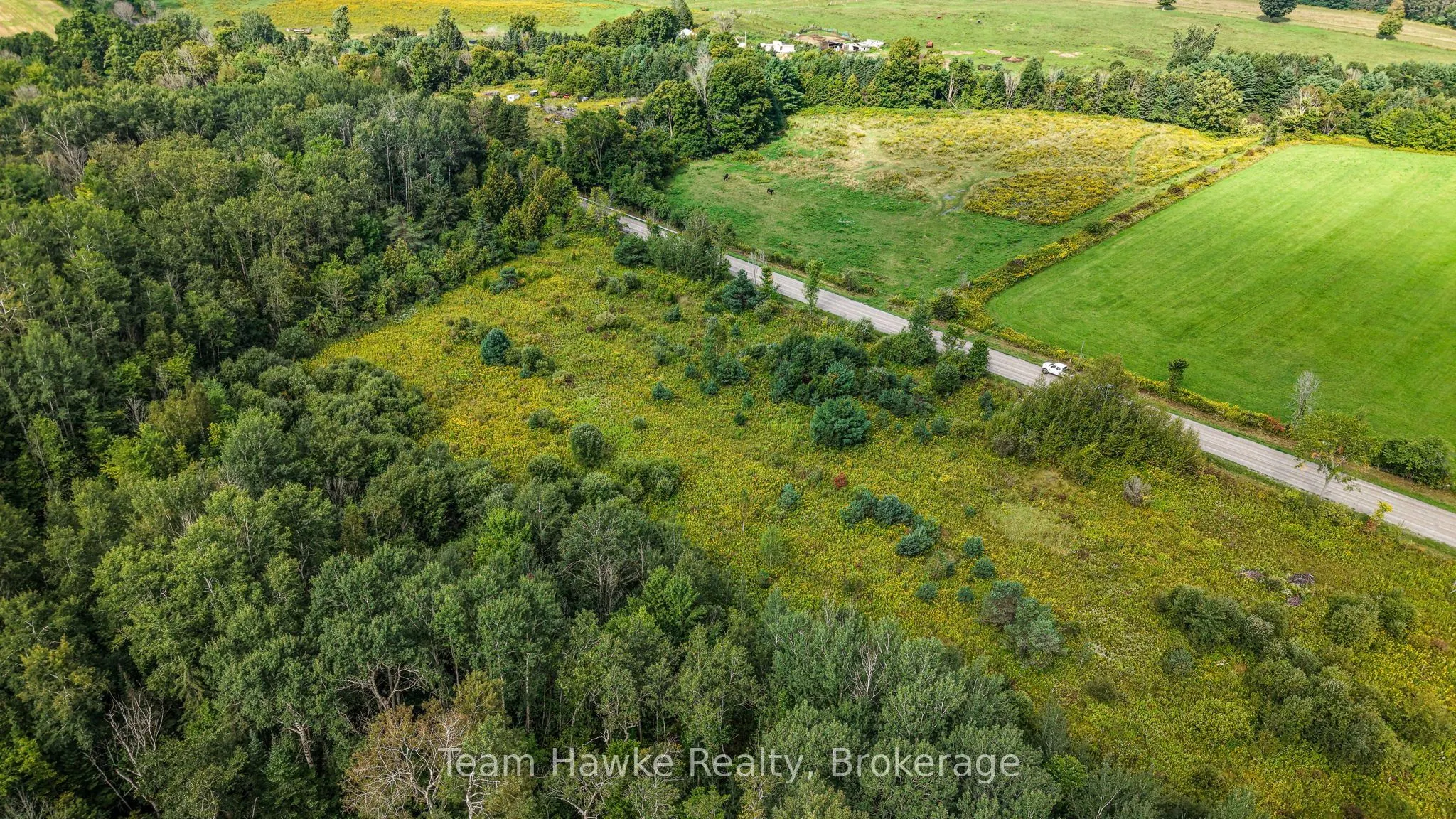 Lot 80 McMann Side Road