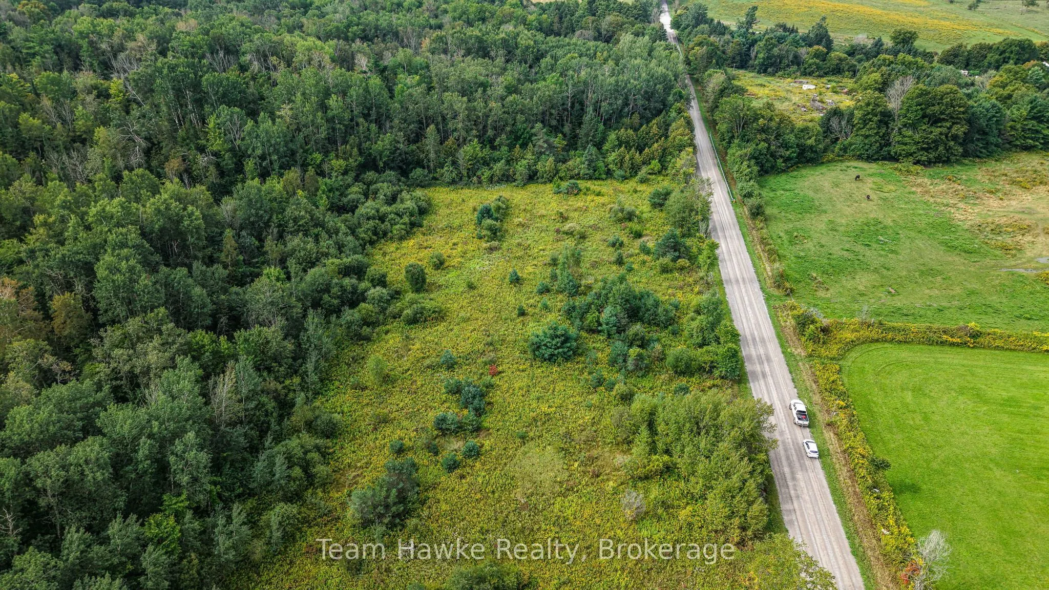 Lot 80 McMann Side Road