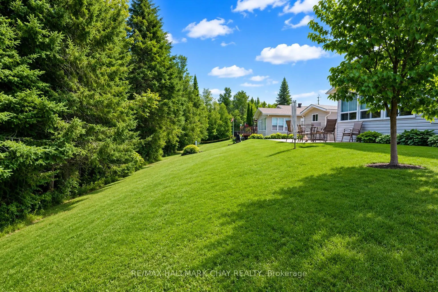 45 Tamarack Drive