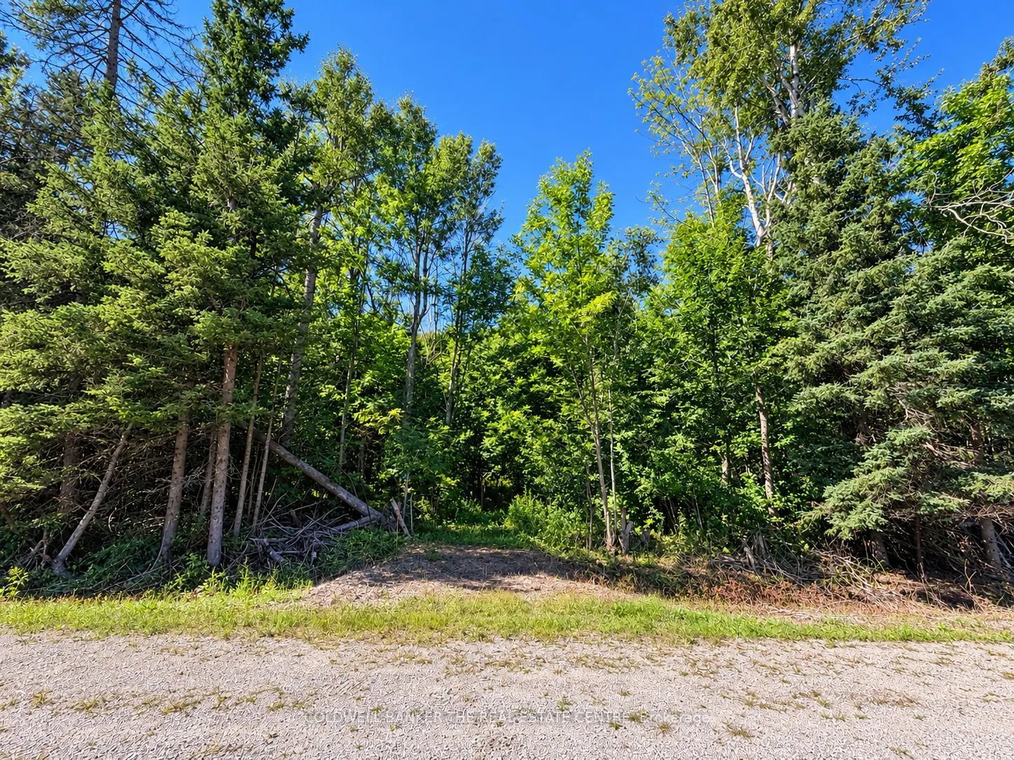 4896 Penetanguishene Road