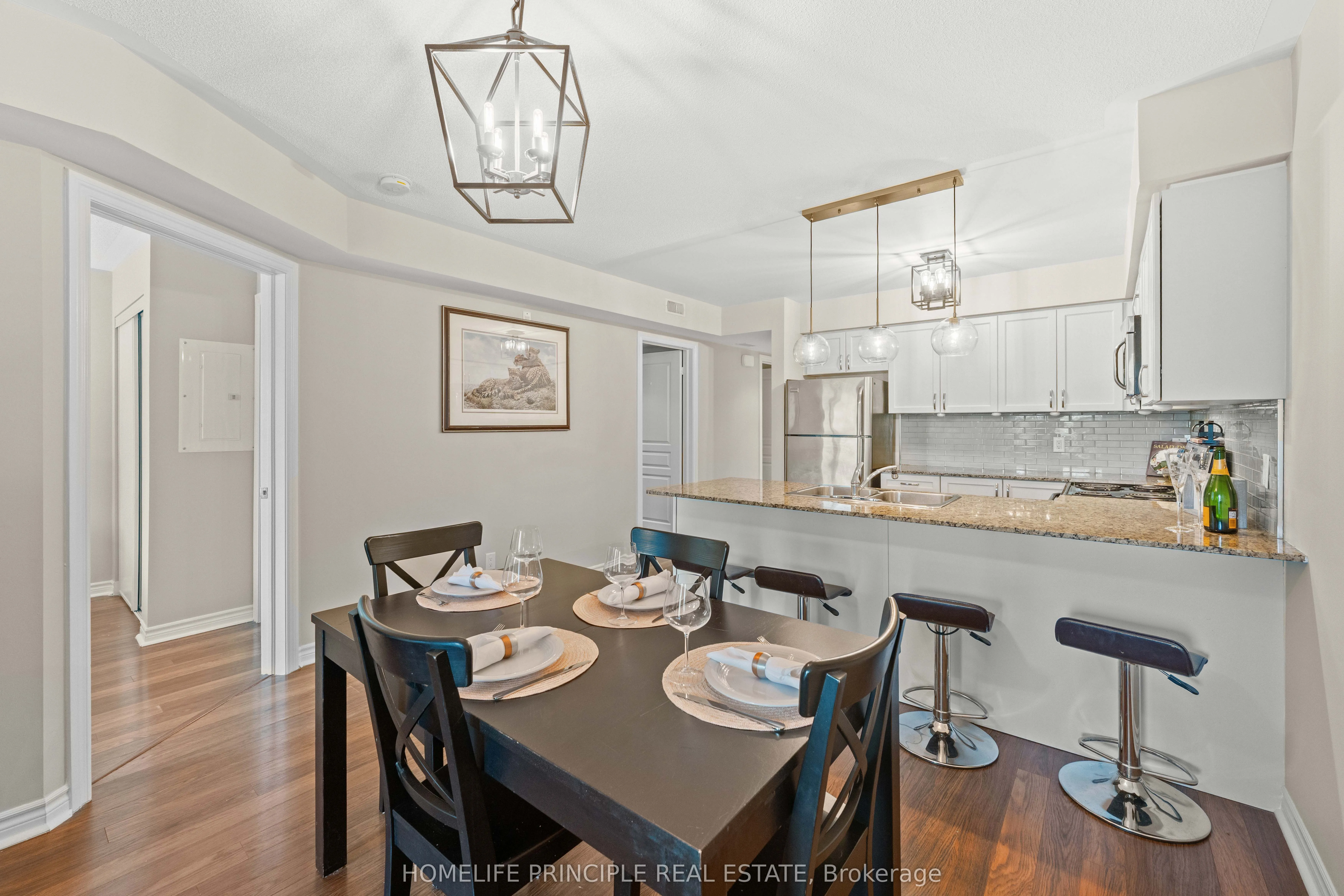 3 Brandy Lane Drive #205