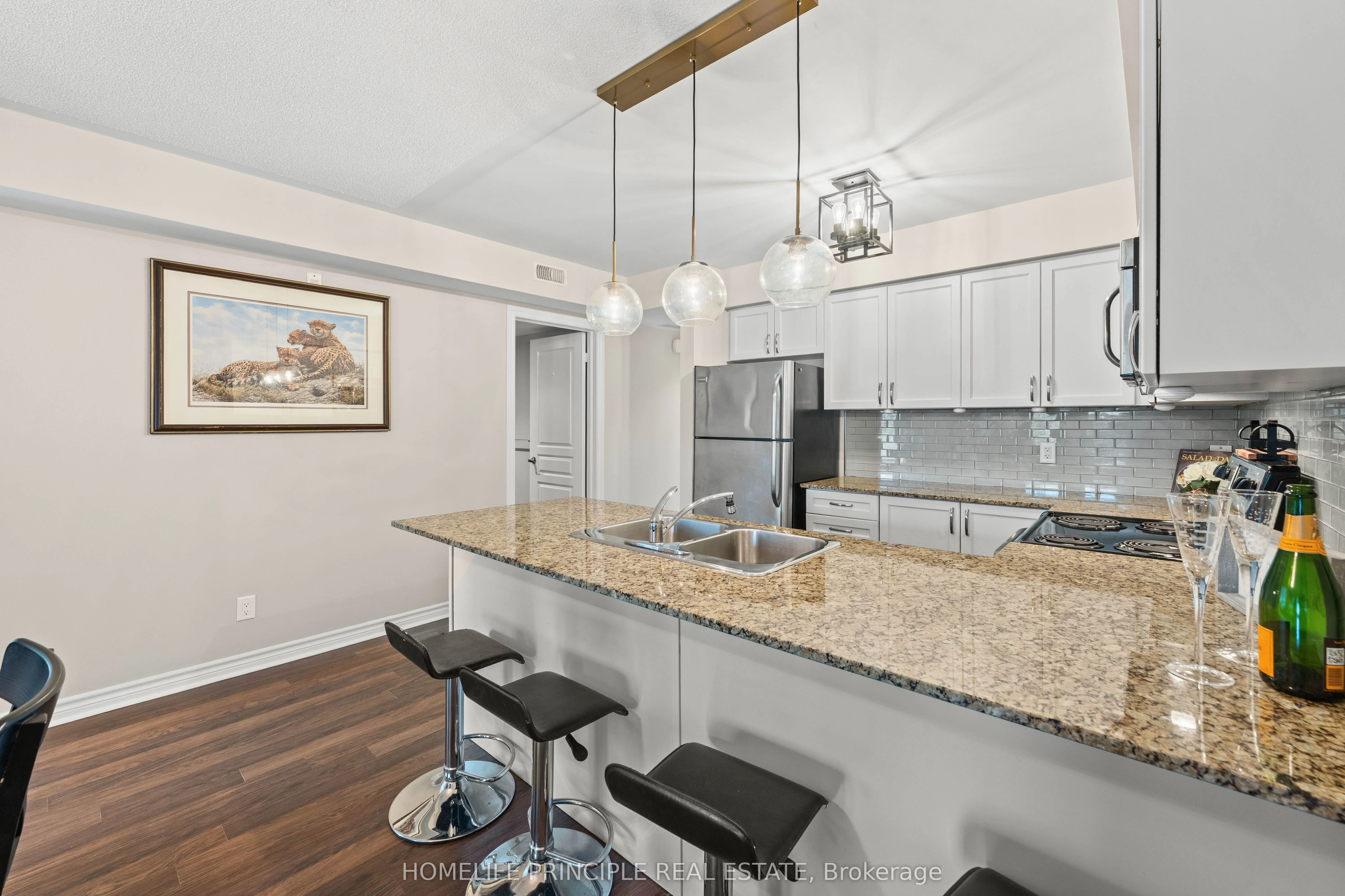 3 Brandy Lane Drive #205