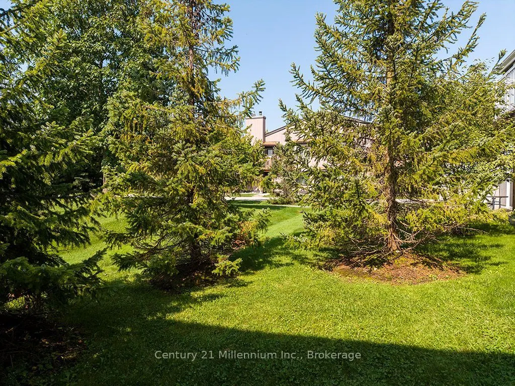 19 Dawson Drive #68