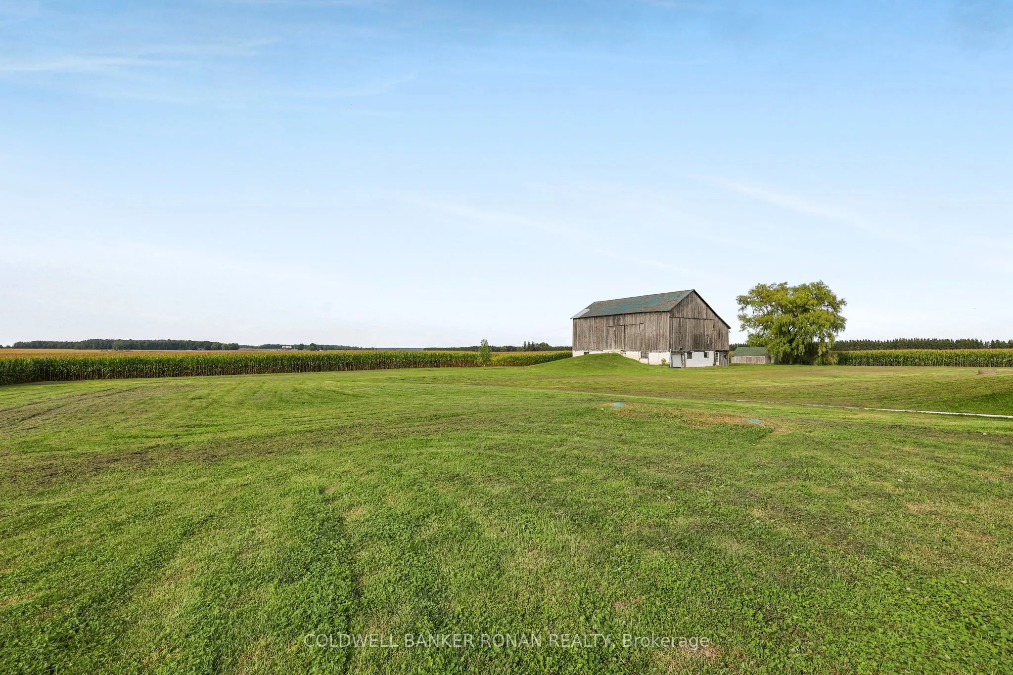 4542 Concession Road 6 Sunnidale