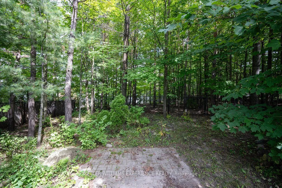 5 Grouse Glen