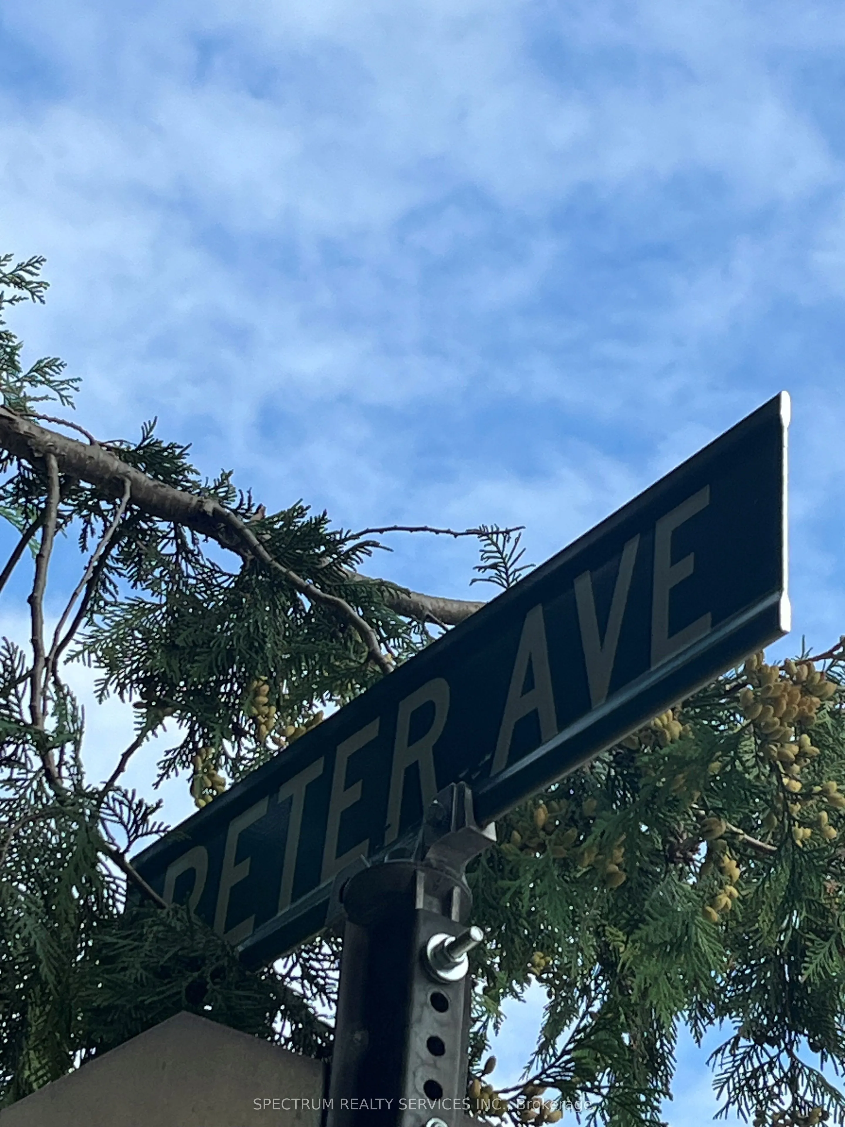 21 Peter Avenue