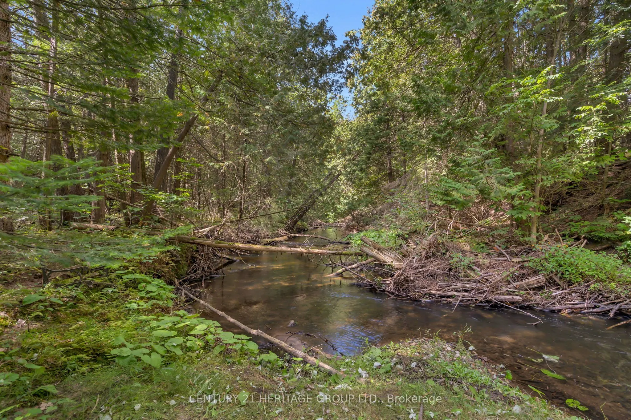 116 Mill Pond Side Road
