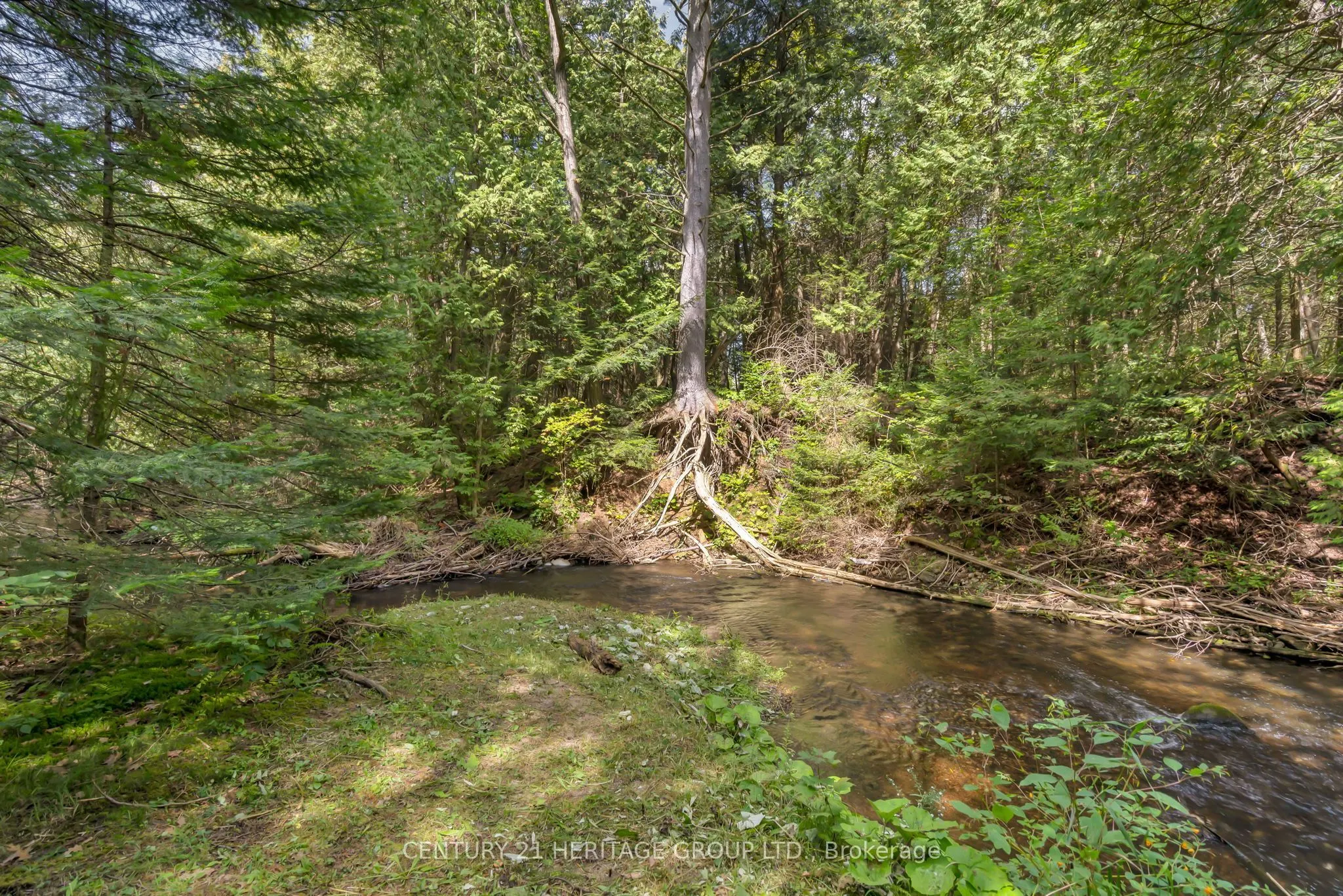 116 Mill Pond Side Road