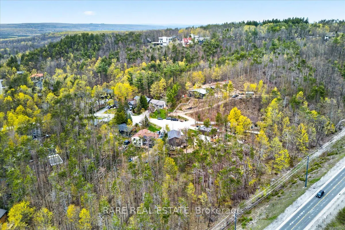 7 Pine Spring