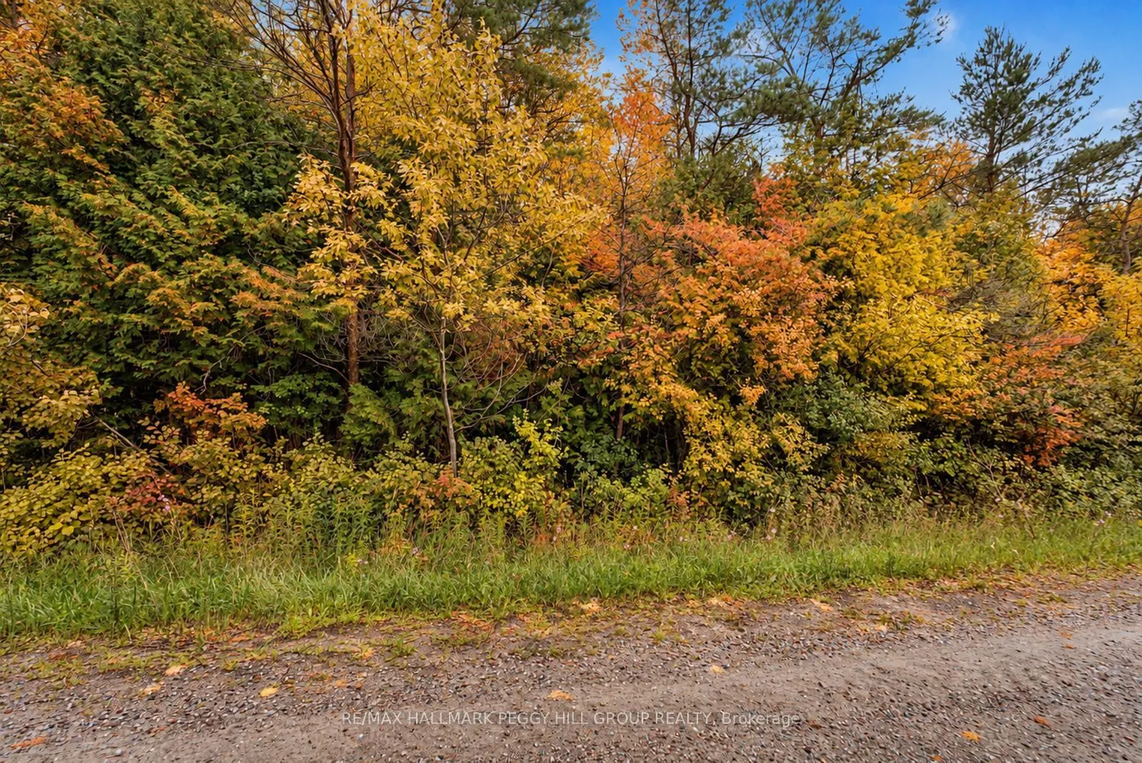 1659 County Road 92