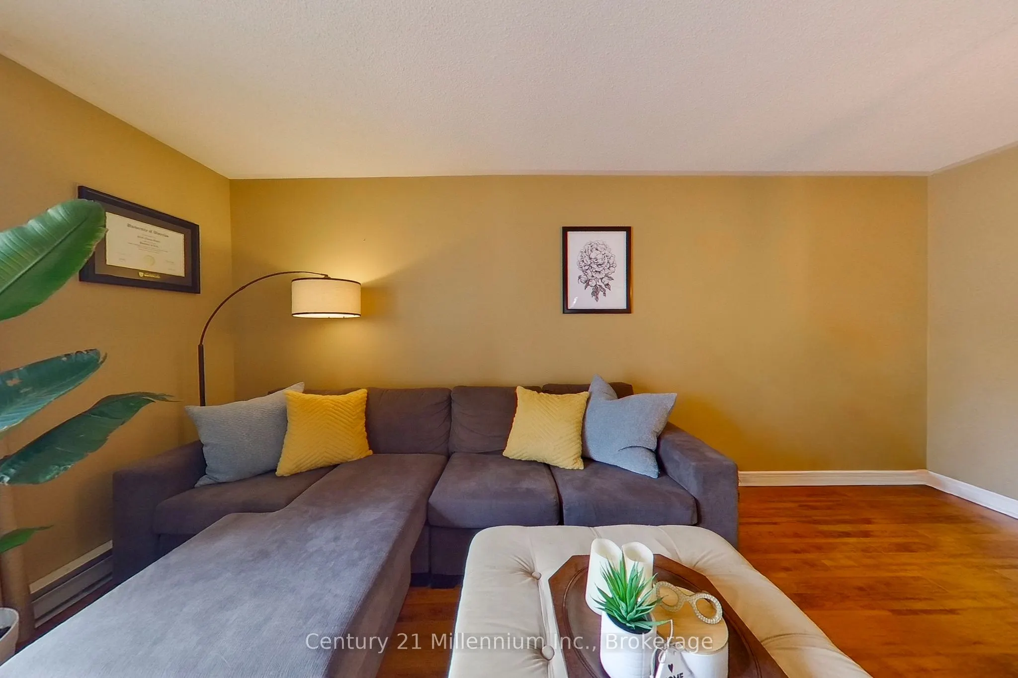 34 Dawson Drive #825