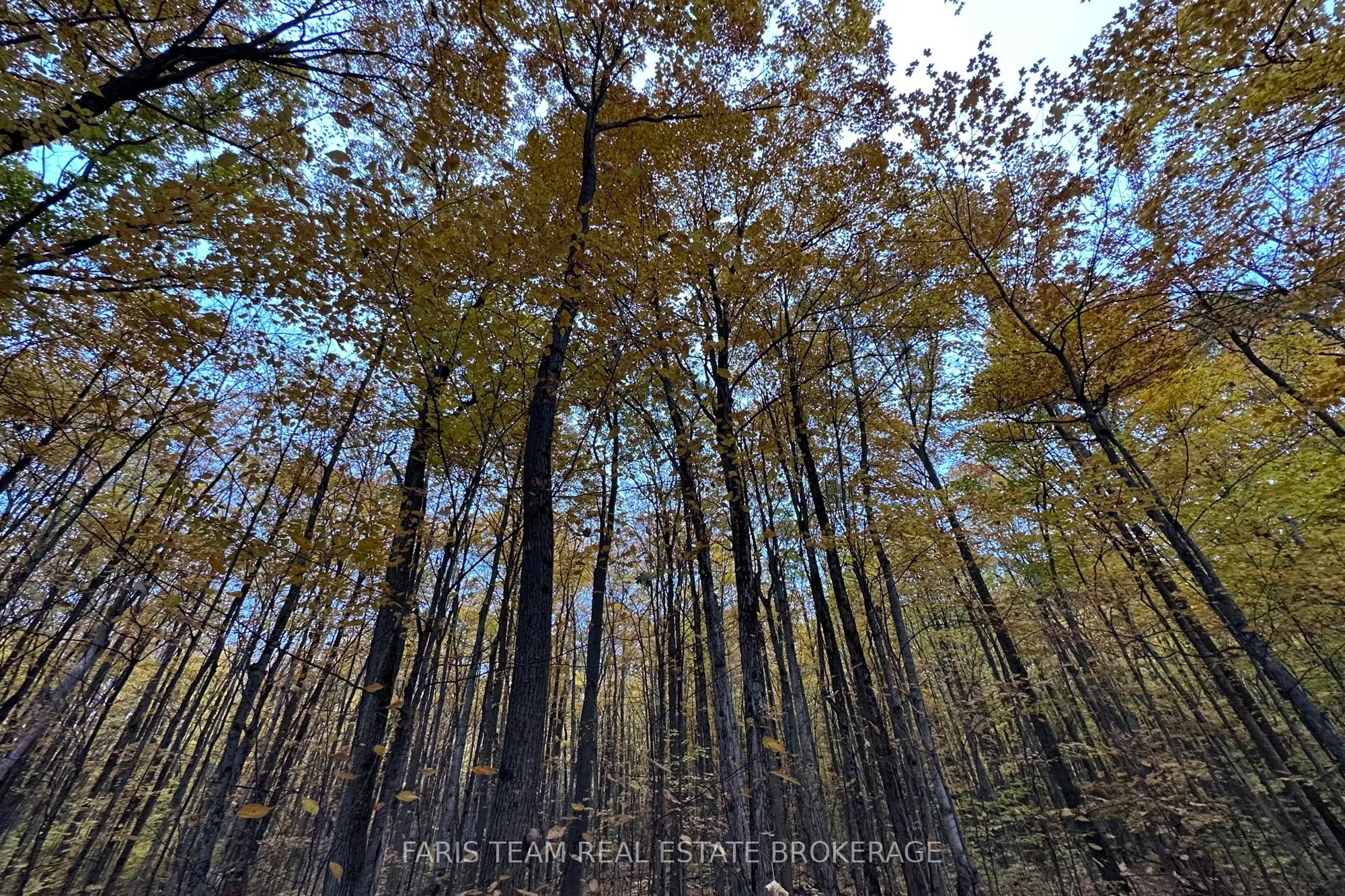 418 Concession 13 Road E