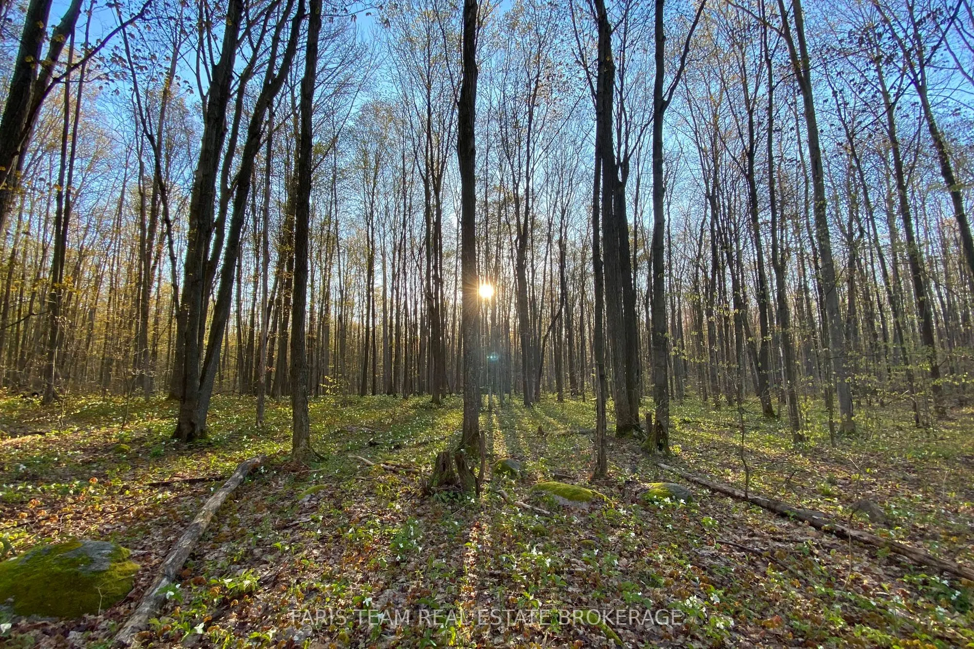 418 Concession 13 Road E