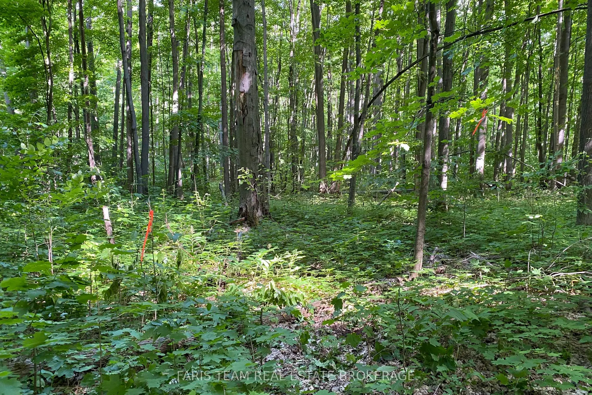 418 Concession 13 Road E
