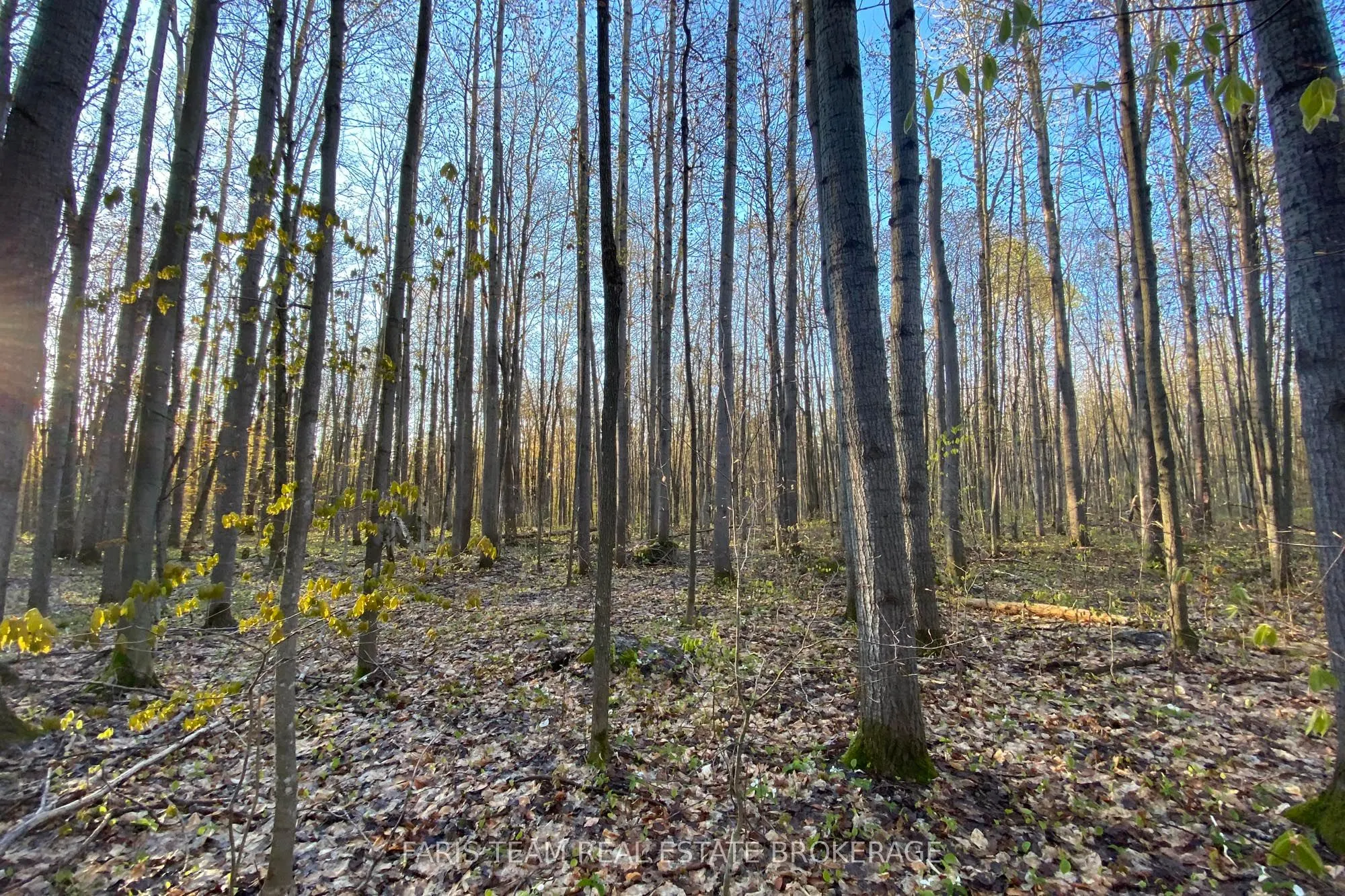 418 Concession 13 Road E