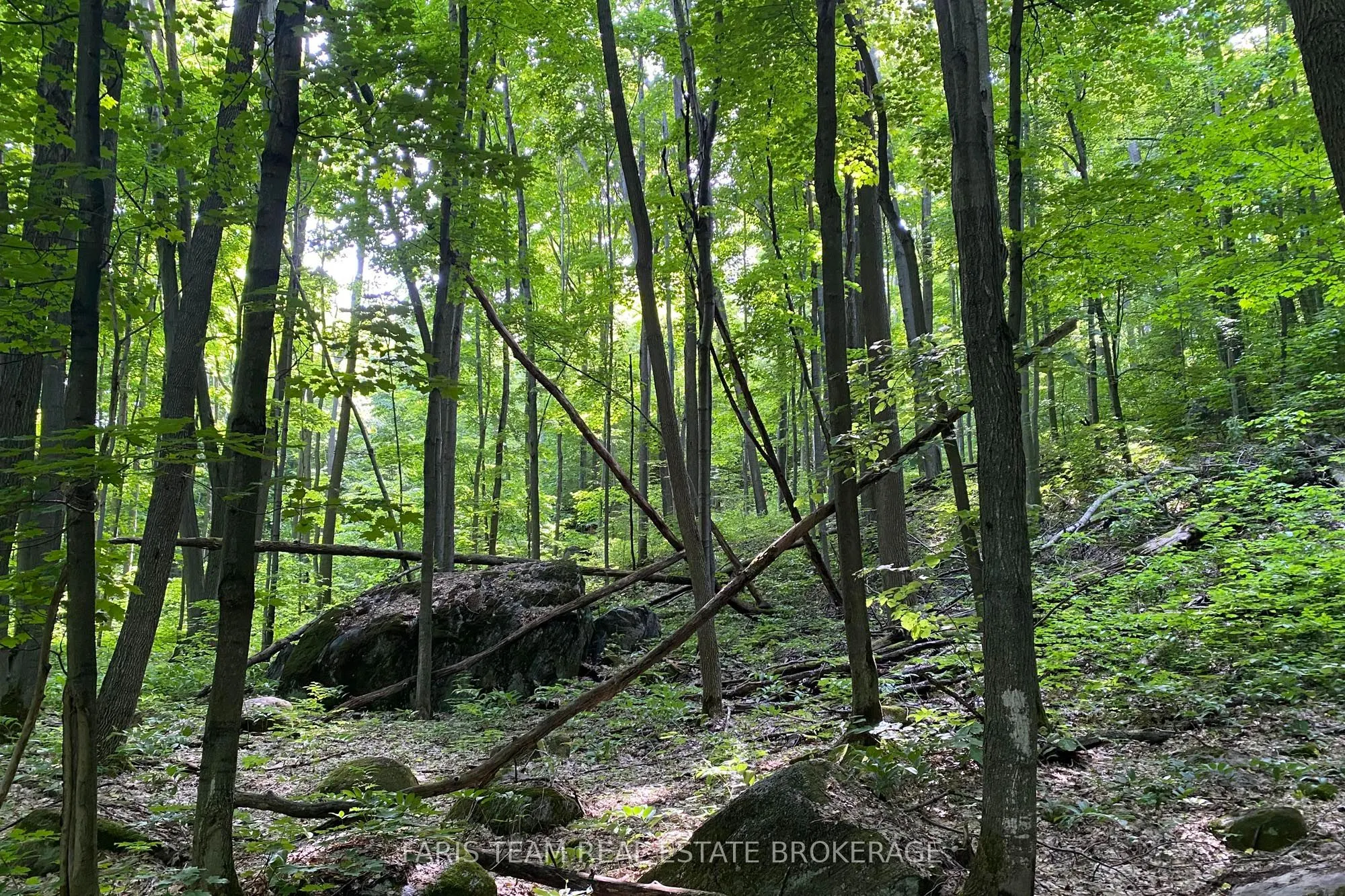 418 Concession 13 Road E