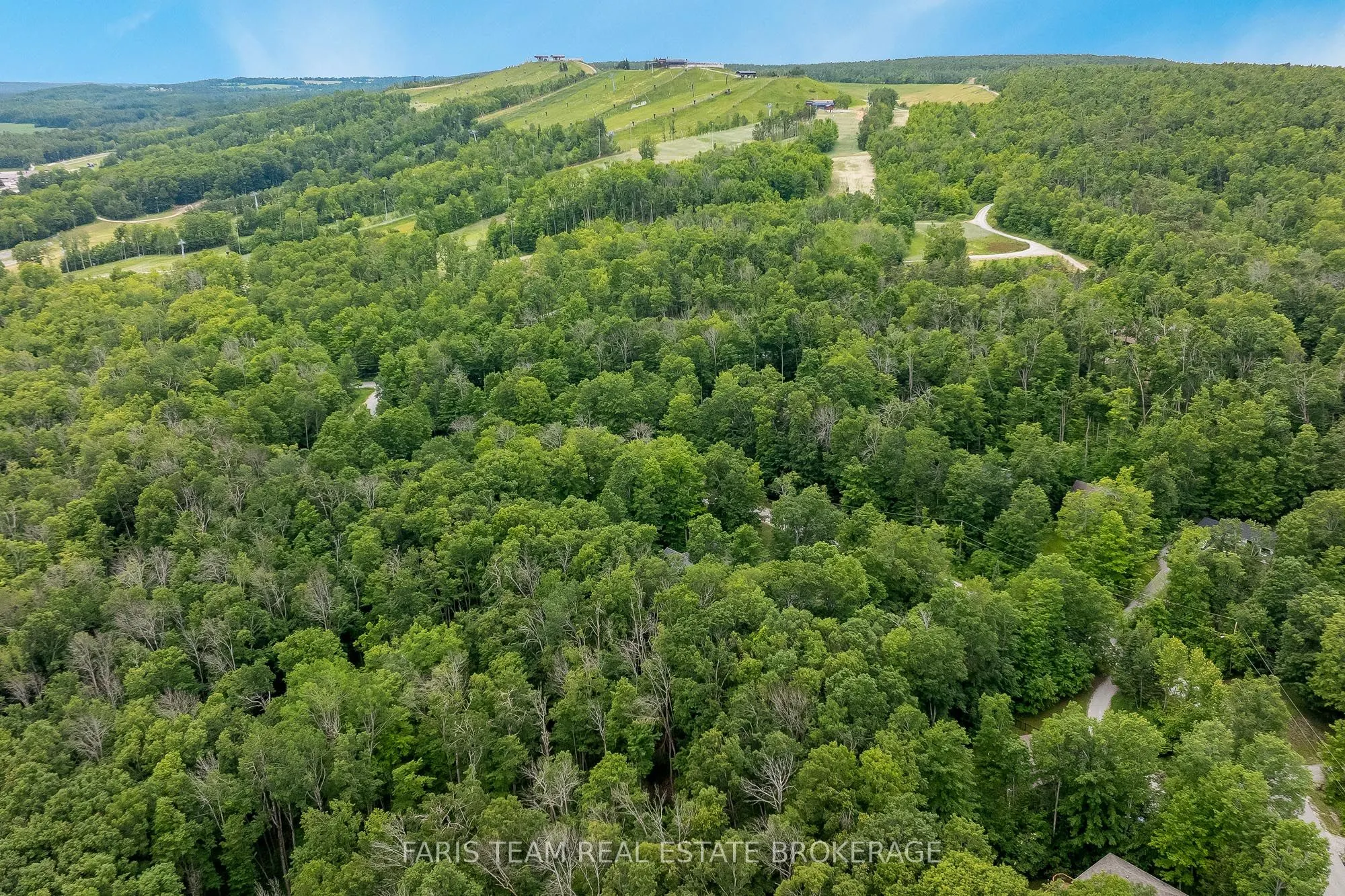 11 Snowshoe Trail