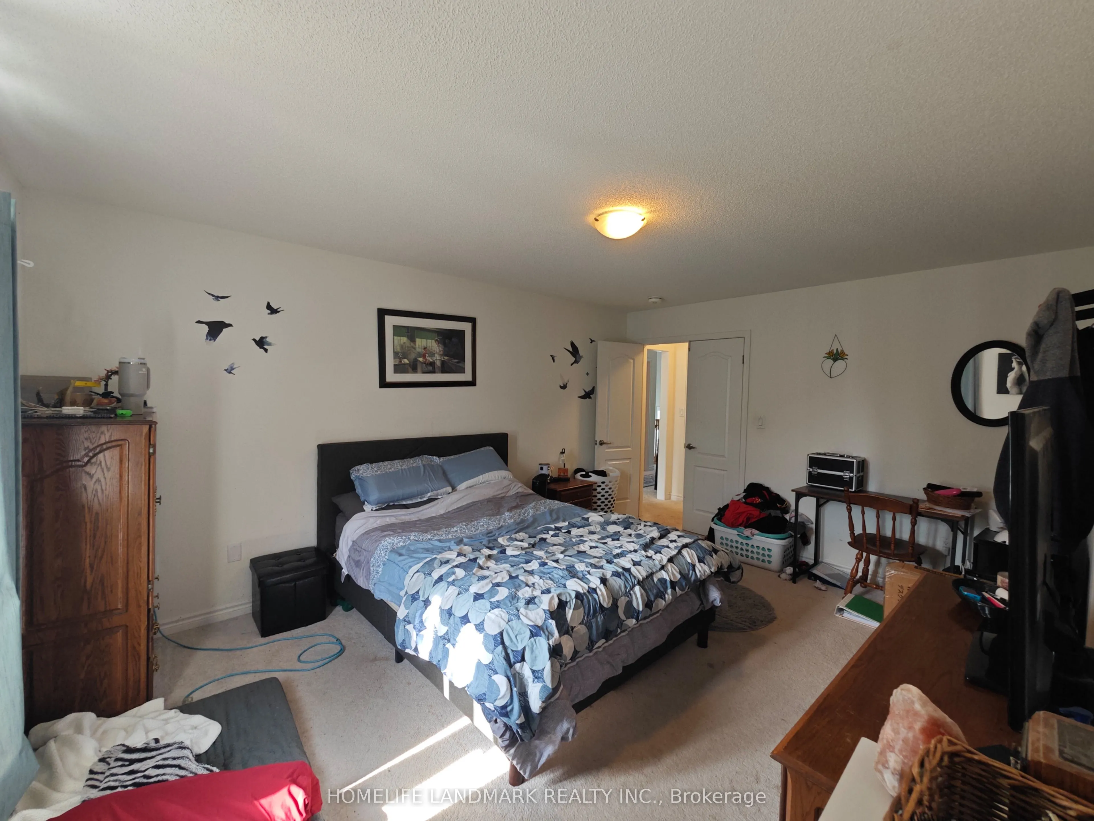 12 Catamaran Drive