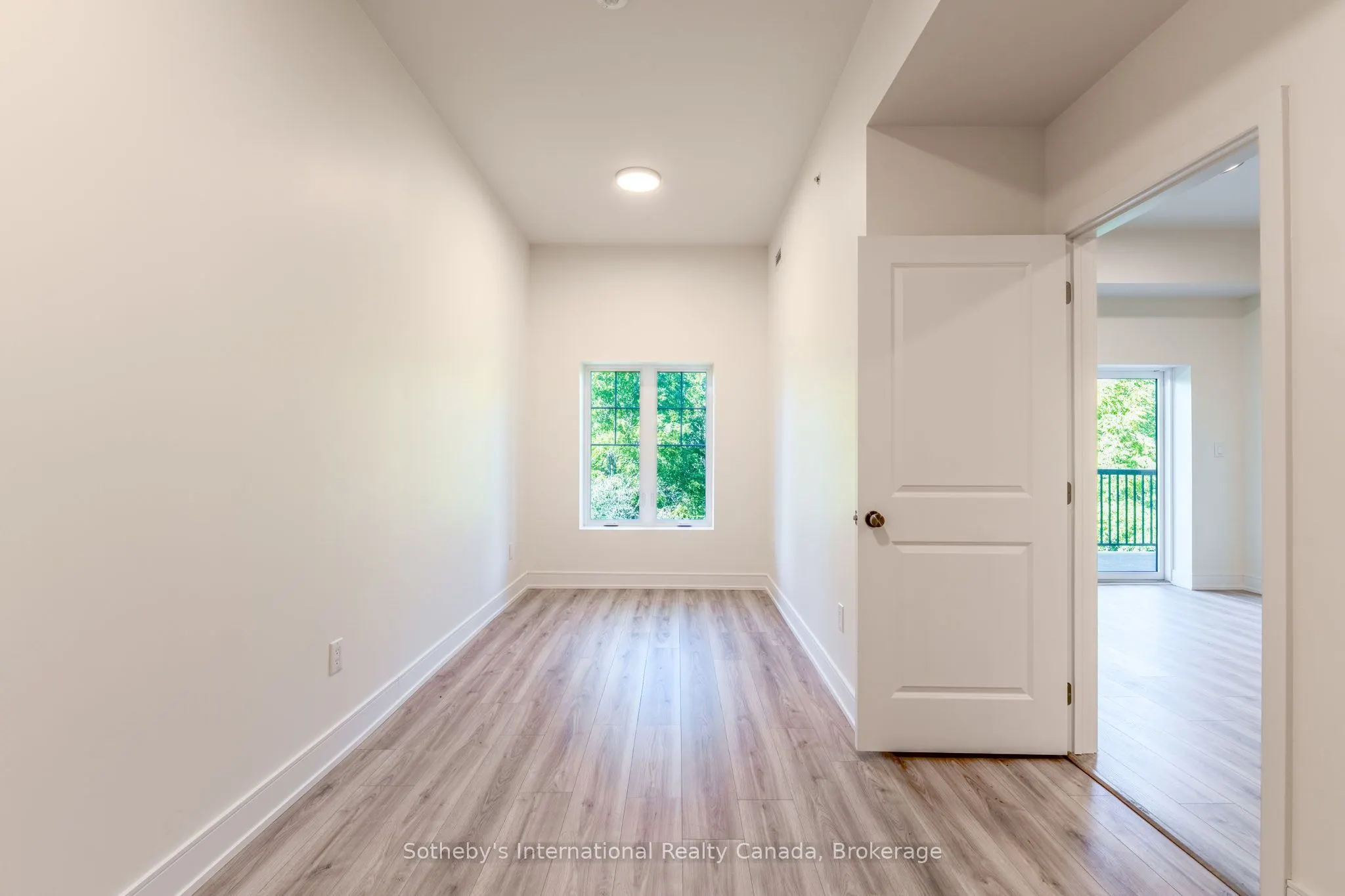 121 Mary Street #316