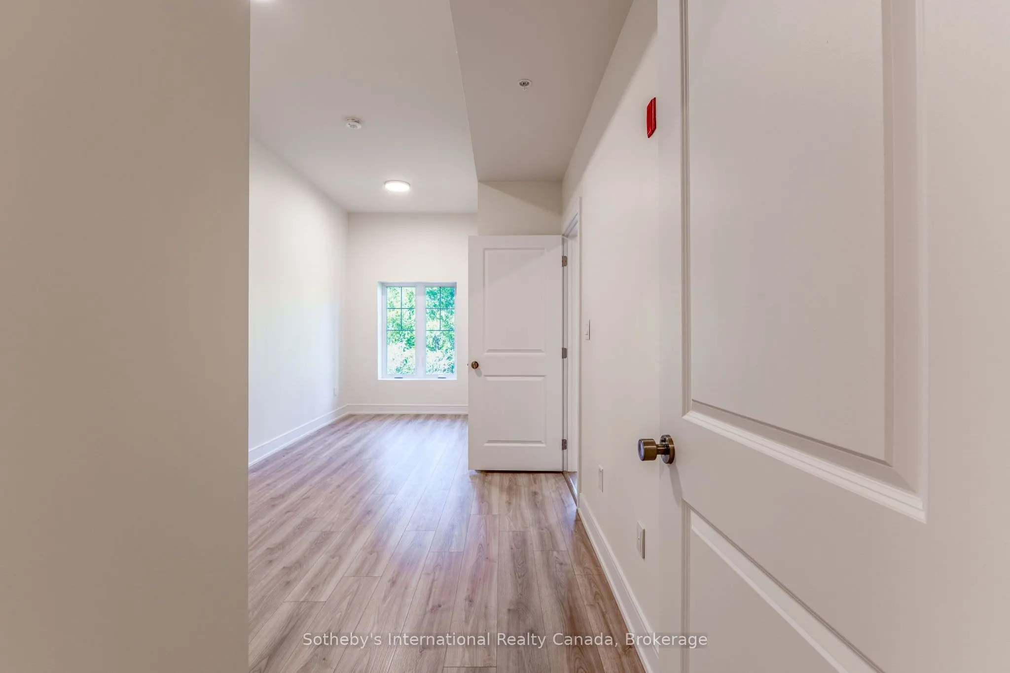 121 Mary Street #316