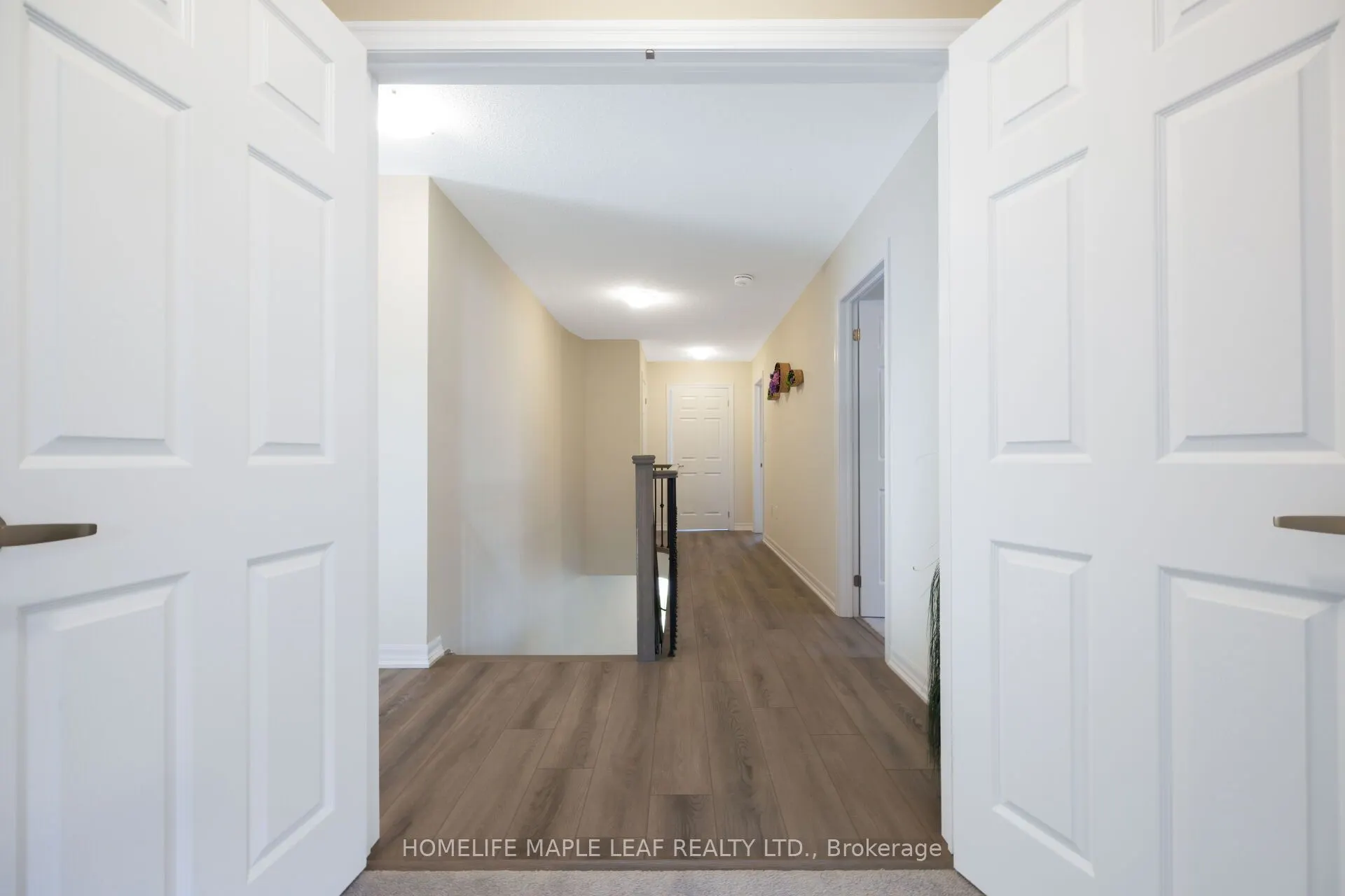 244 Warden Street