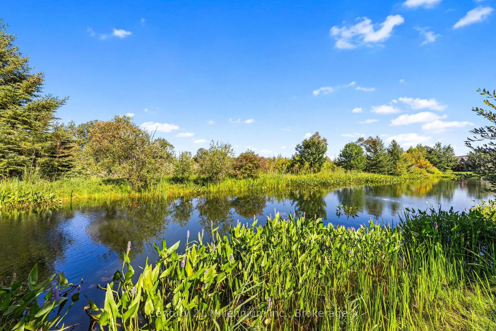 75 Green Briar Drive #43