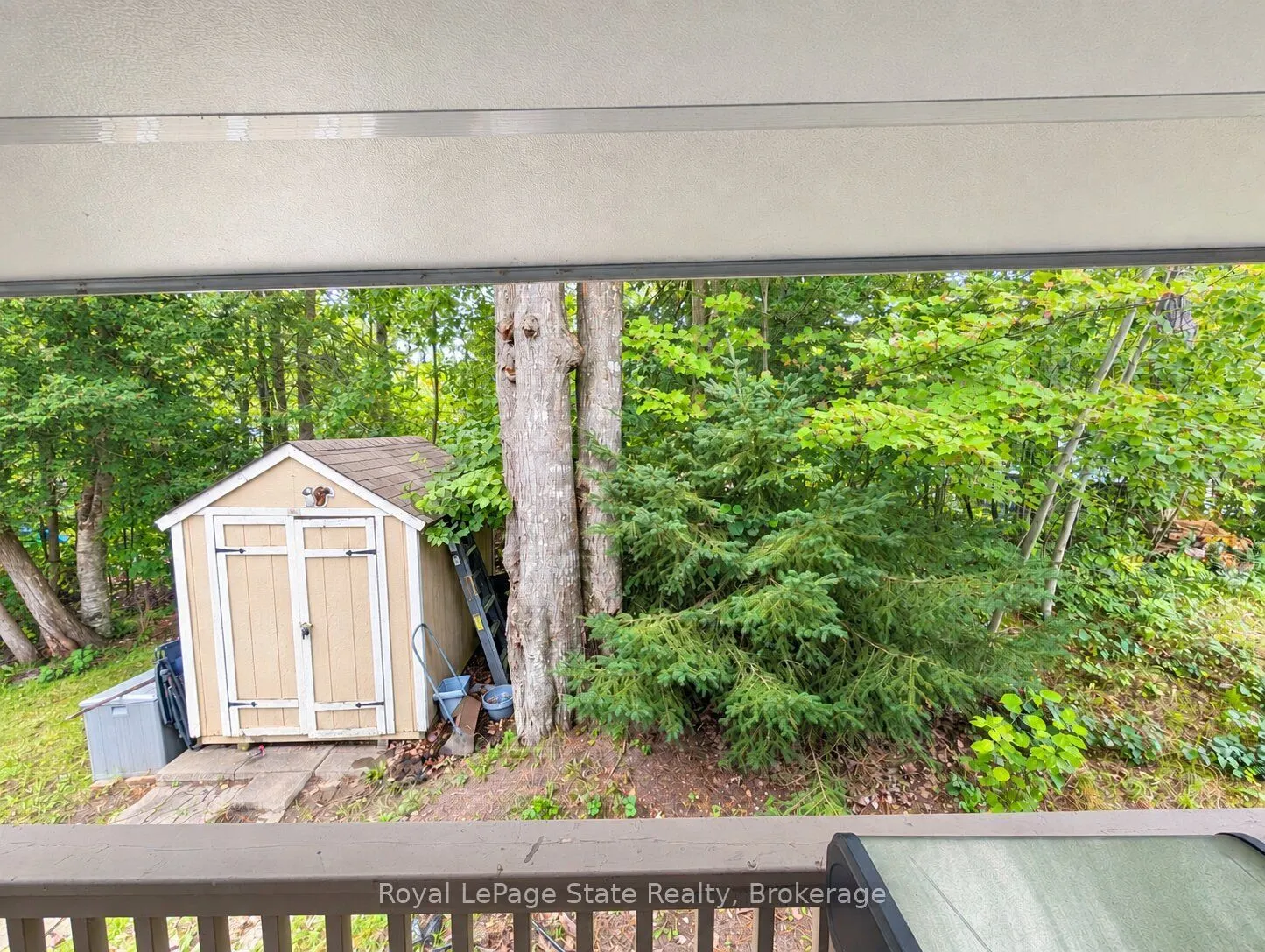 34 Temagami Trail