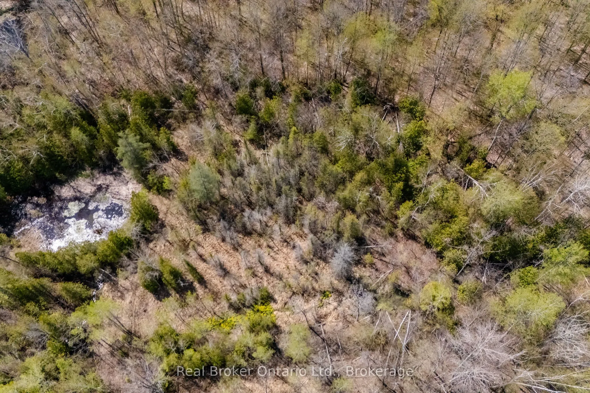 12824 COUNTY ROAD 16 Road