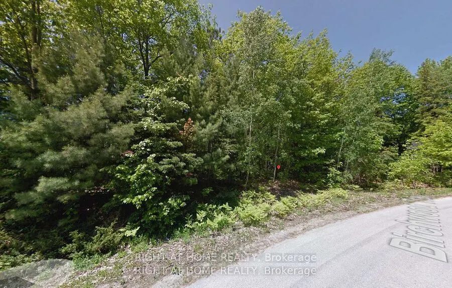 2 Birchwood Trail