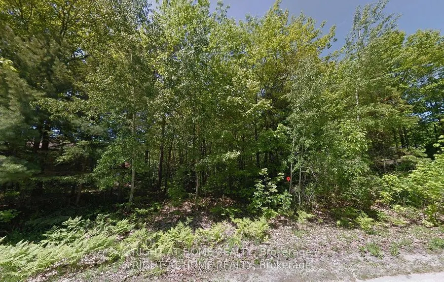 2 Birchwood Trail