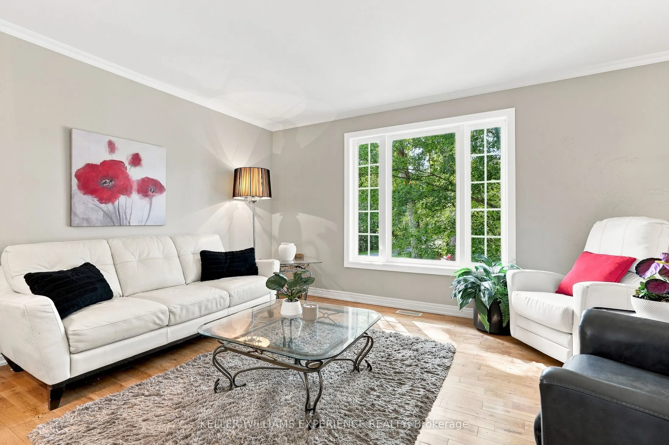 2438 Amigo Drive