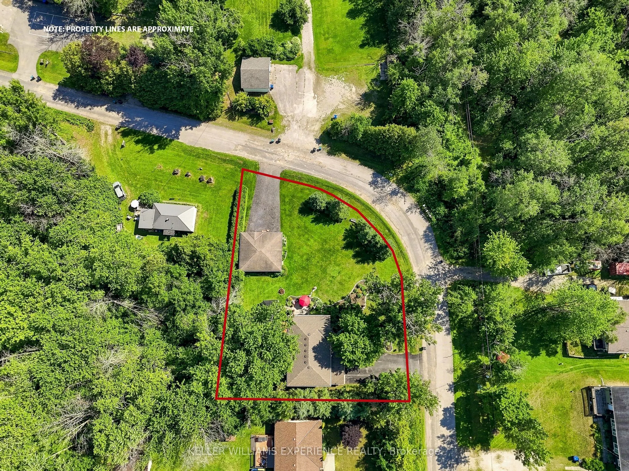 2438 Amigo Drive