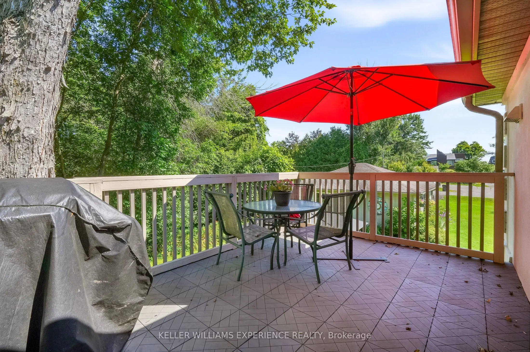 2438 Amigo Drive