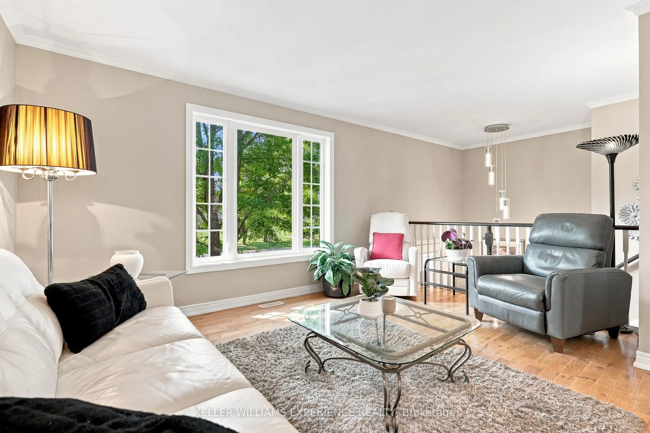 2438 Amigo Drive