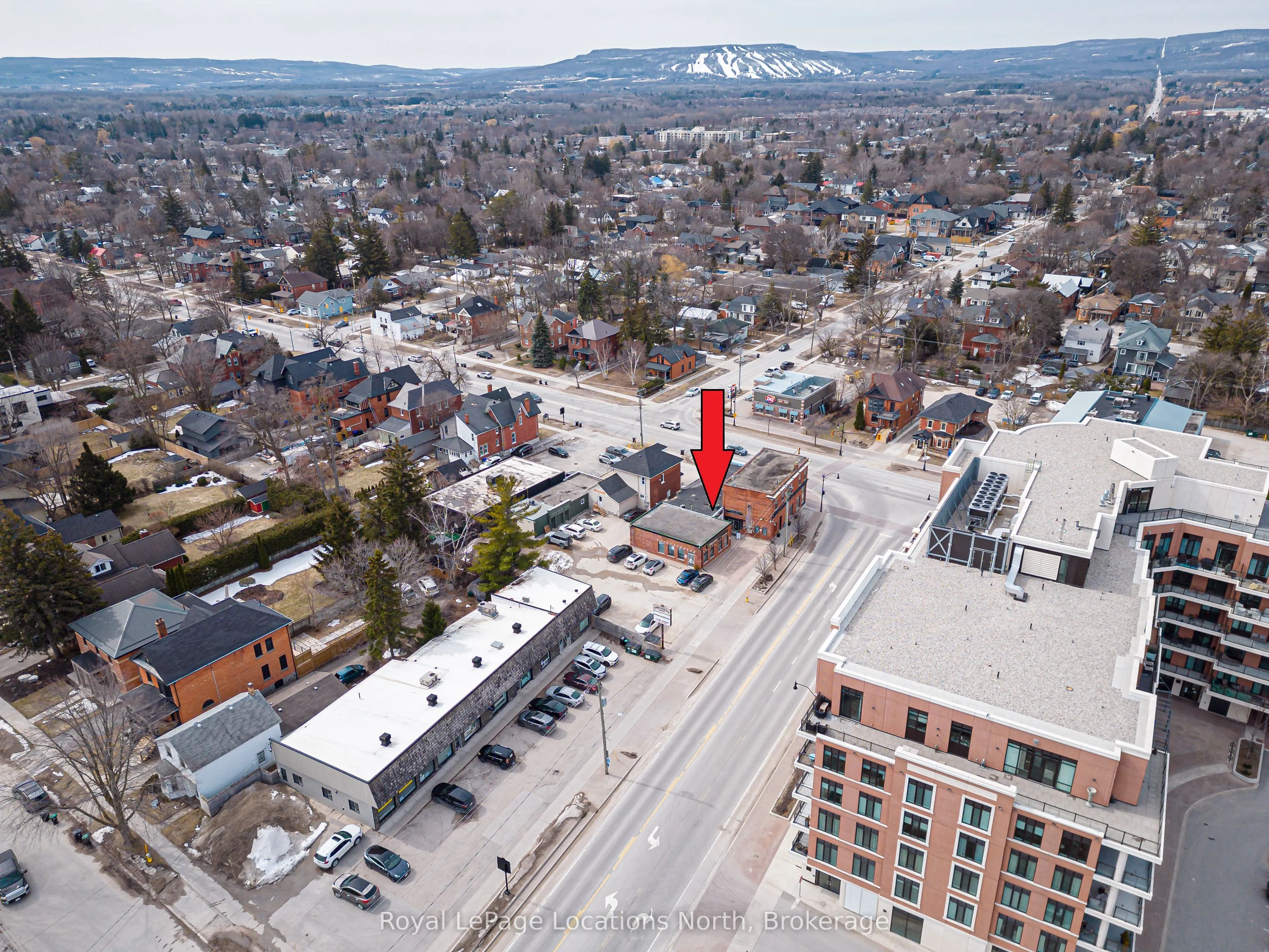 313 Hurontario Street #A
