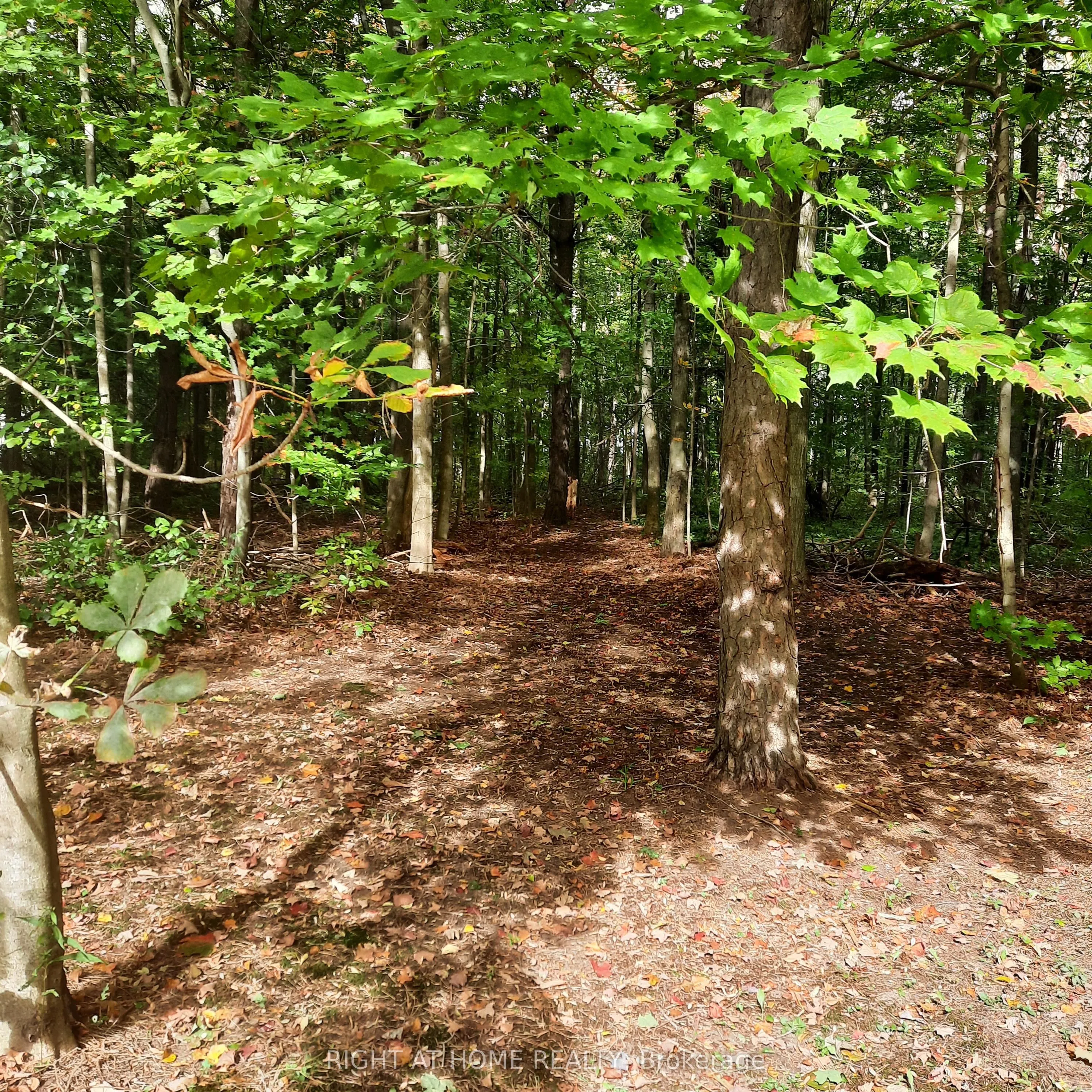 1602 County 92 Road