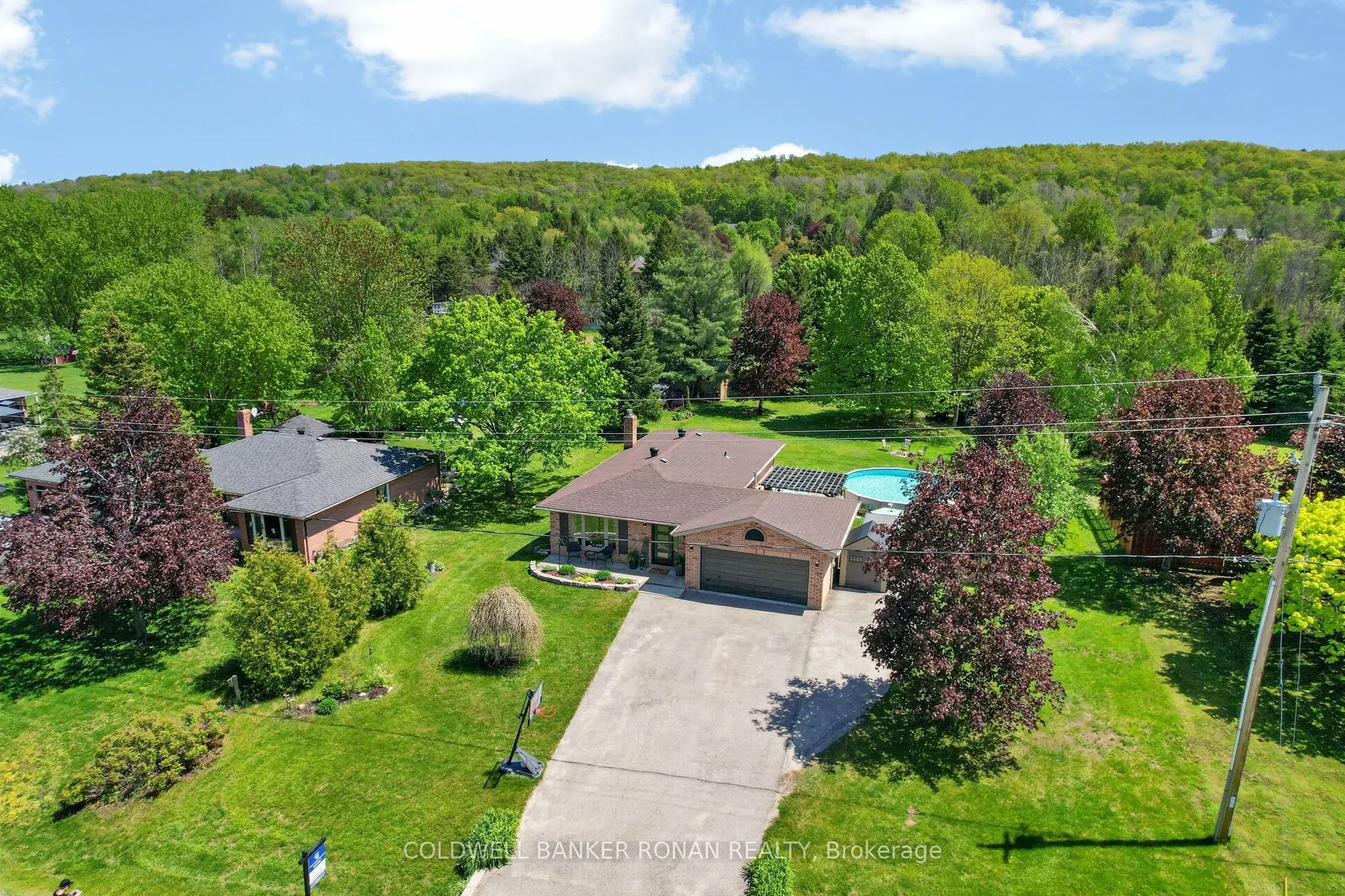 1959 Snow Valley Road