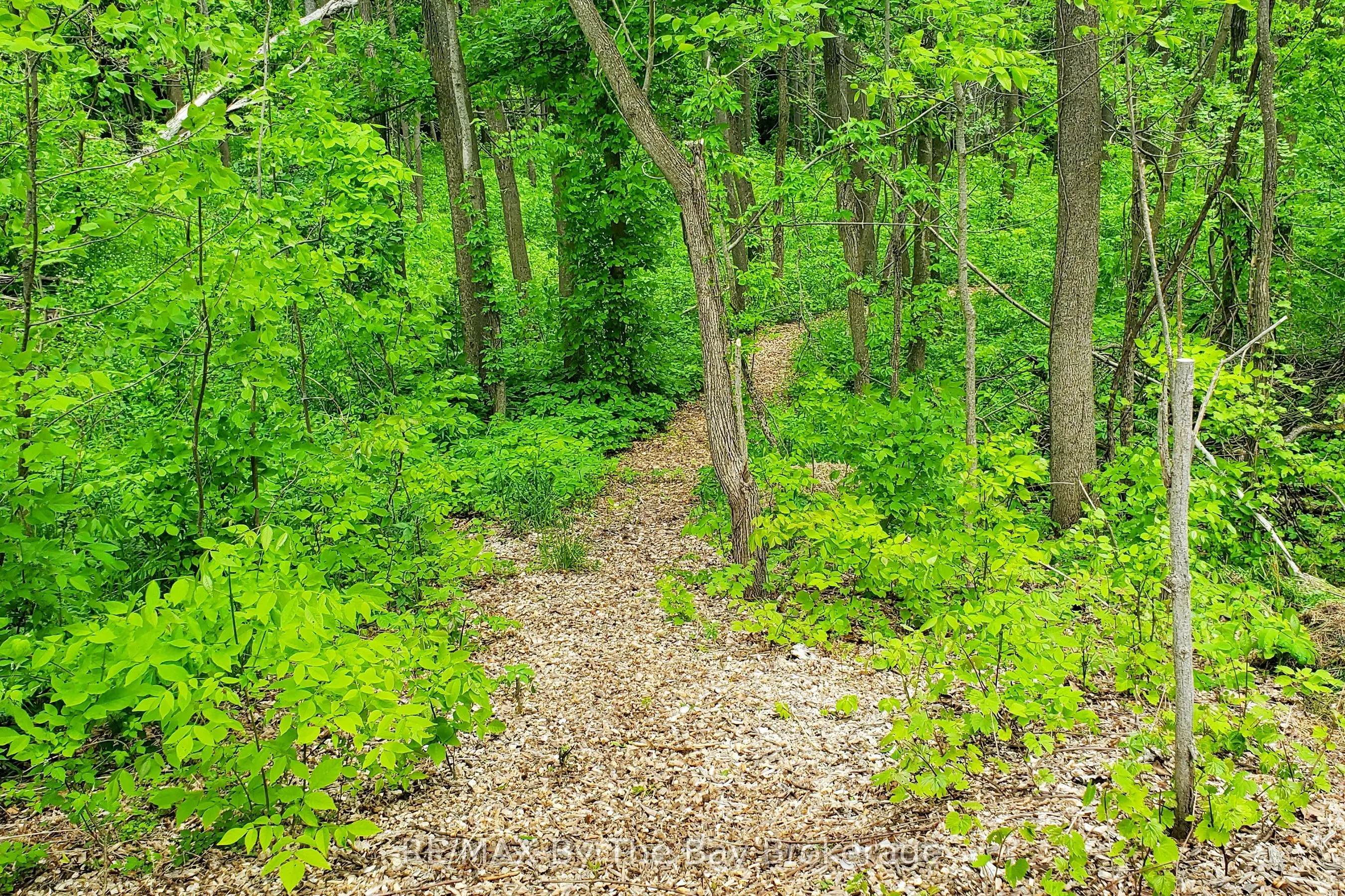 9 Purple Hill Lane