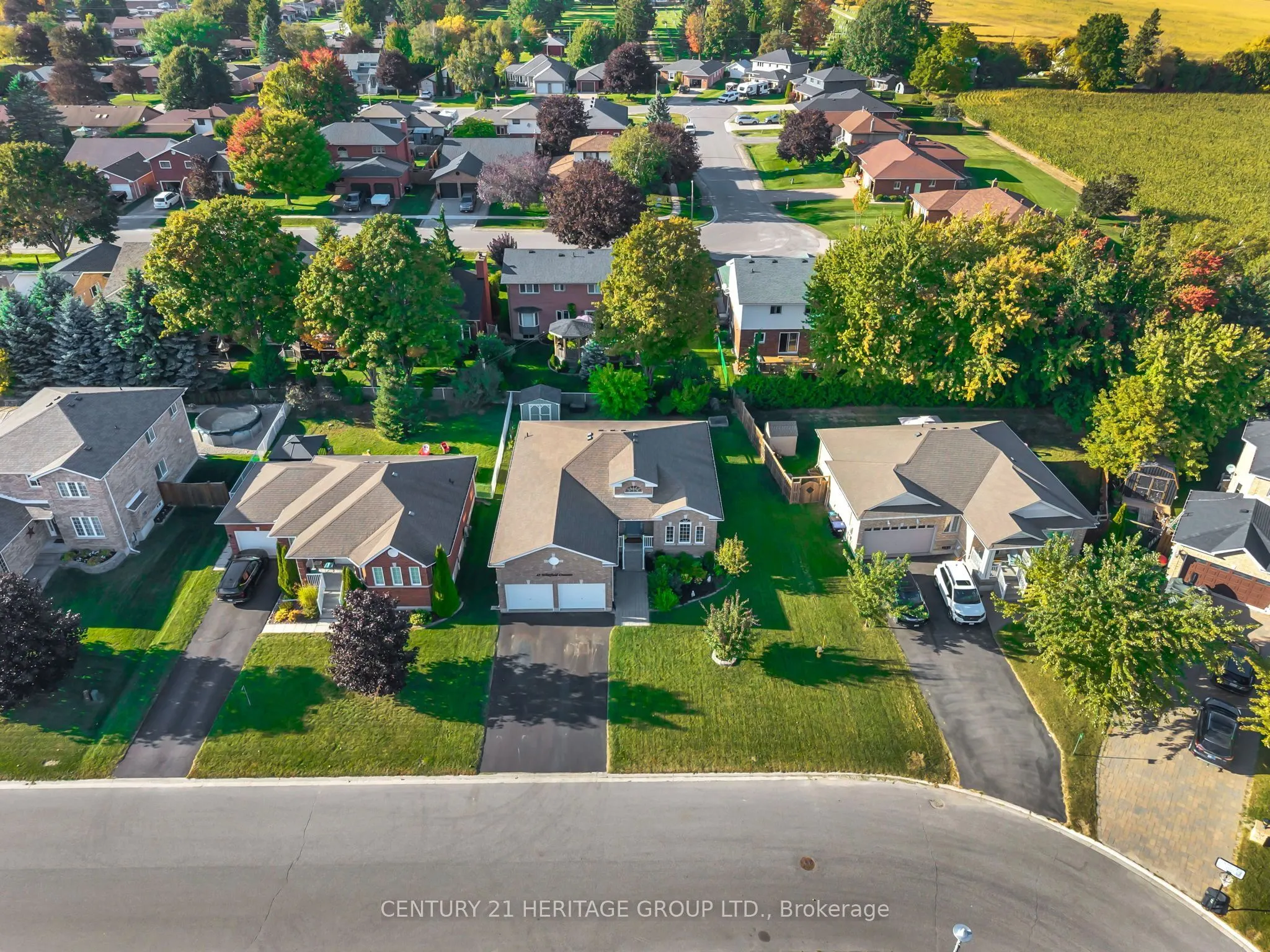 45 Whitfield Crescent