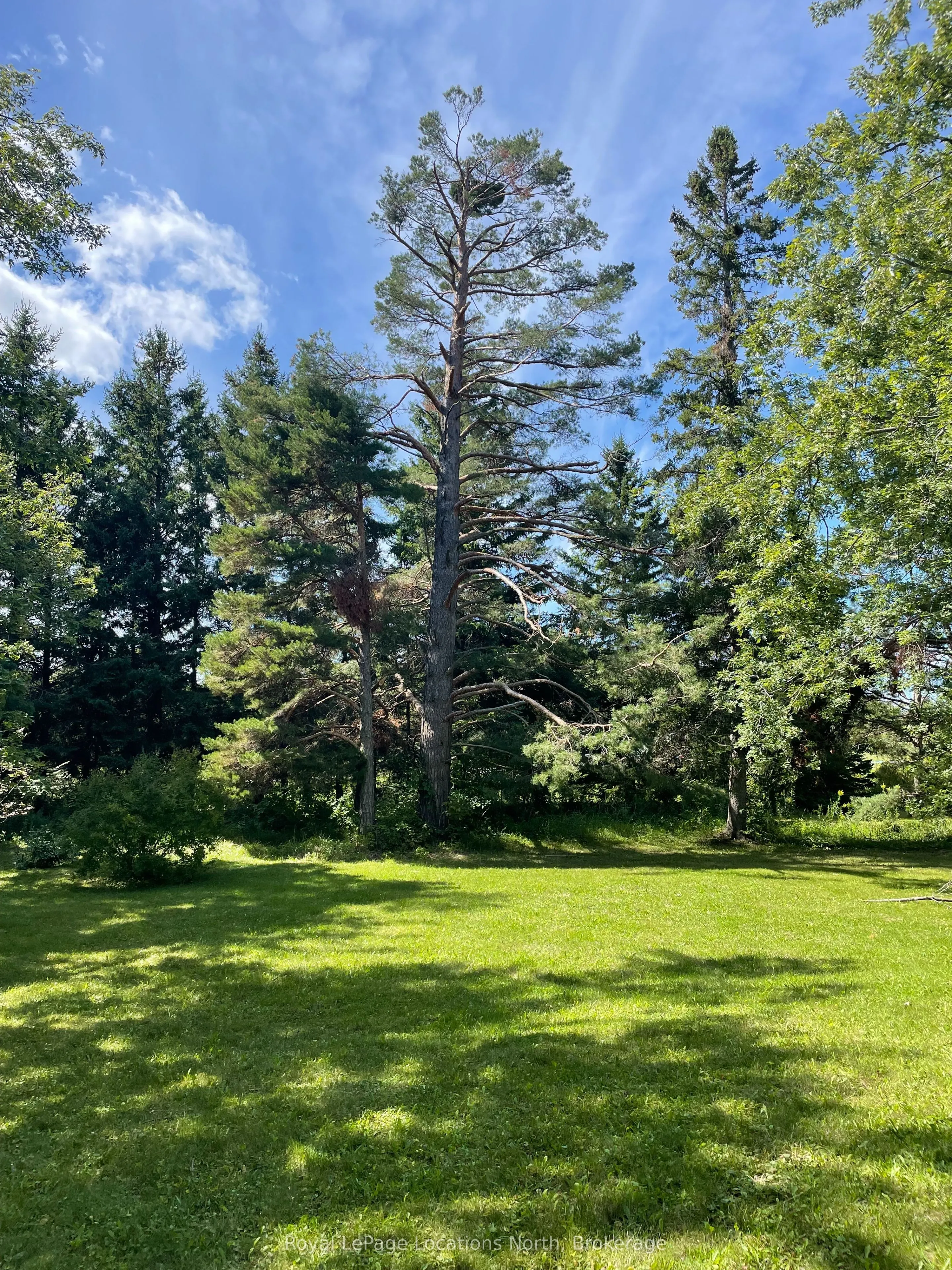 9038 County Rd 91 Road