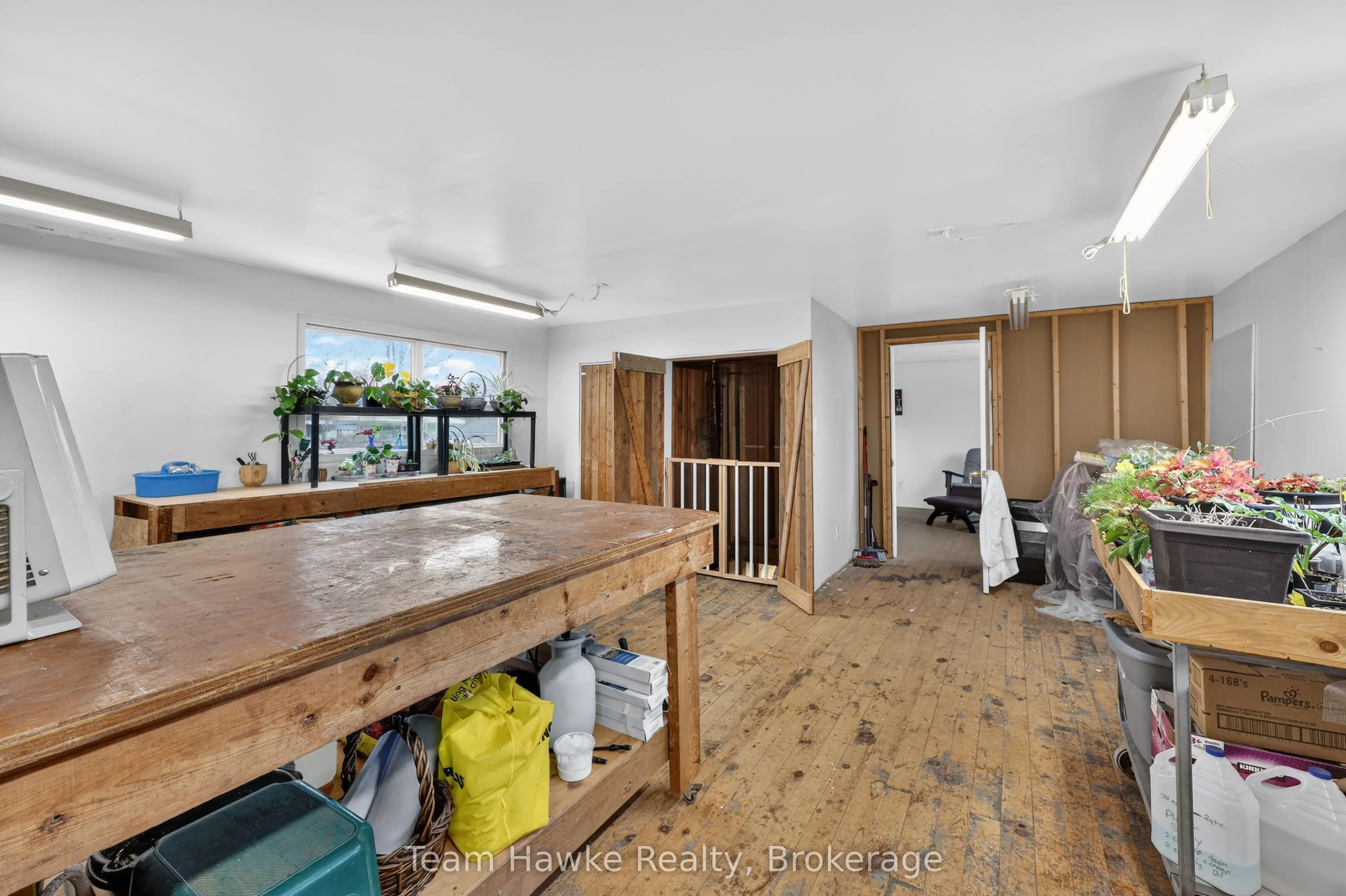 443 Elizabeth Street
